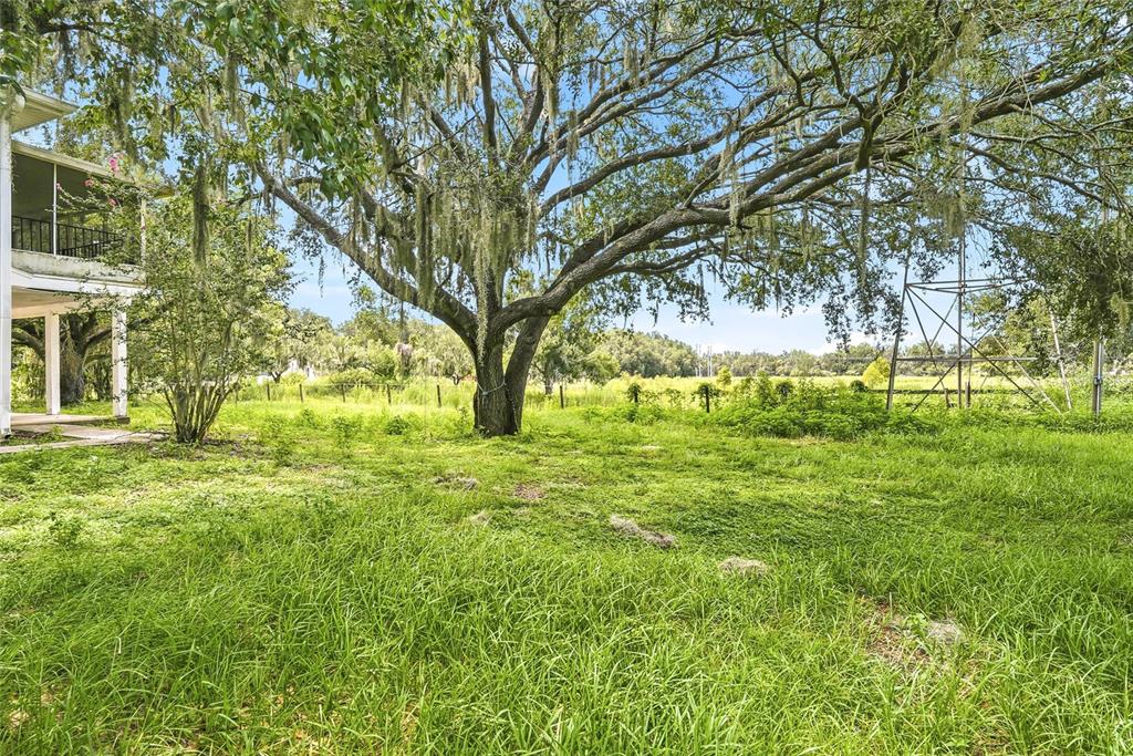 8731 Lithia Pinecrest Road Lithia, FL 33547 - Photo 47 of 50 Gallery Image 47