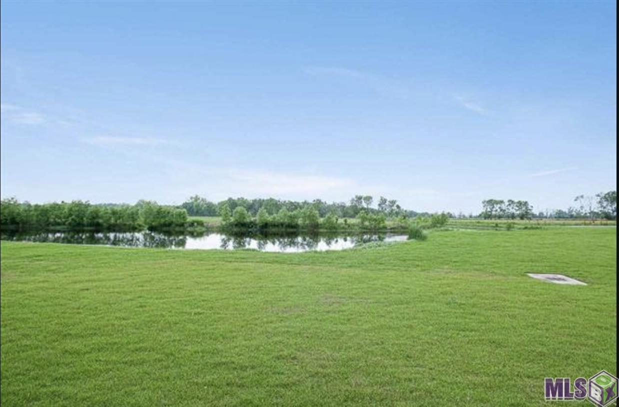 4313 Boulonnais Avenue Baton Rouge, LA 70820 - Photo 25 of 32 Pond Behnd Neighbors Yard