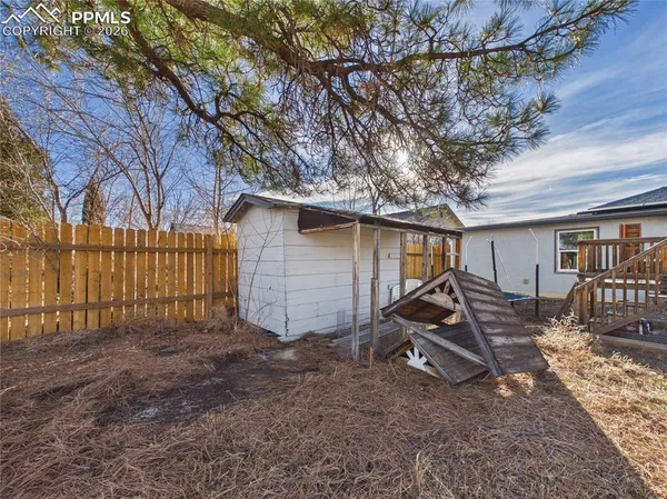 a view of a backyard with a large tree