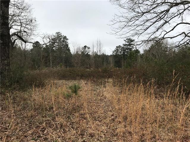 83423 Pierre Cemetary Road Folsom, LA 70437 - Photo 1 of 1 Gallery Image 1