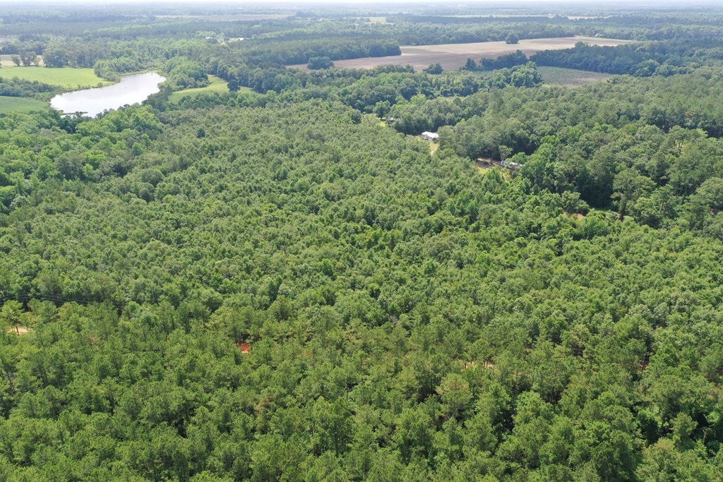 363 Jones Road Climax, GA 39834 - Photo 5 of 33 Facing East