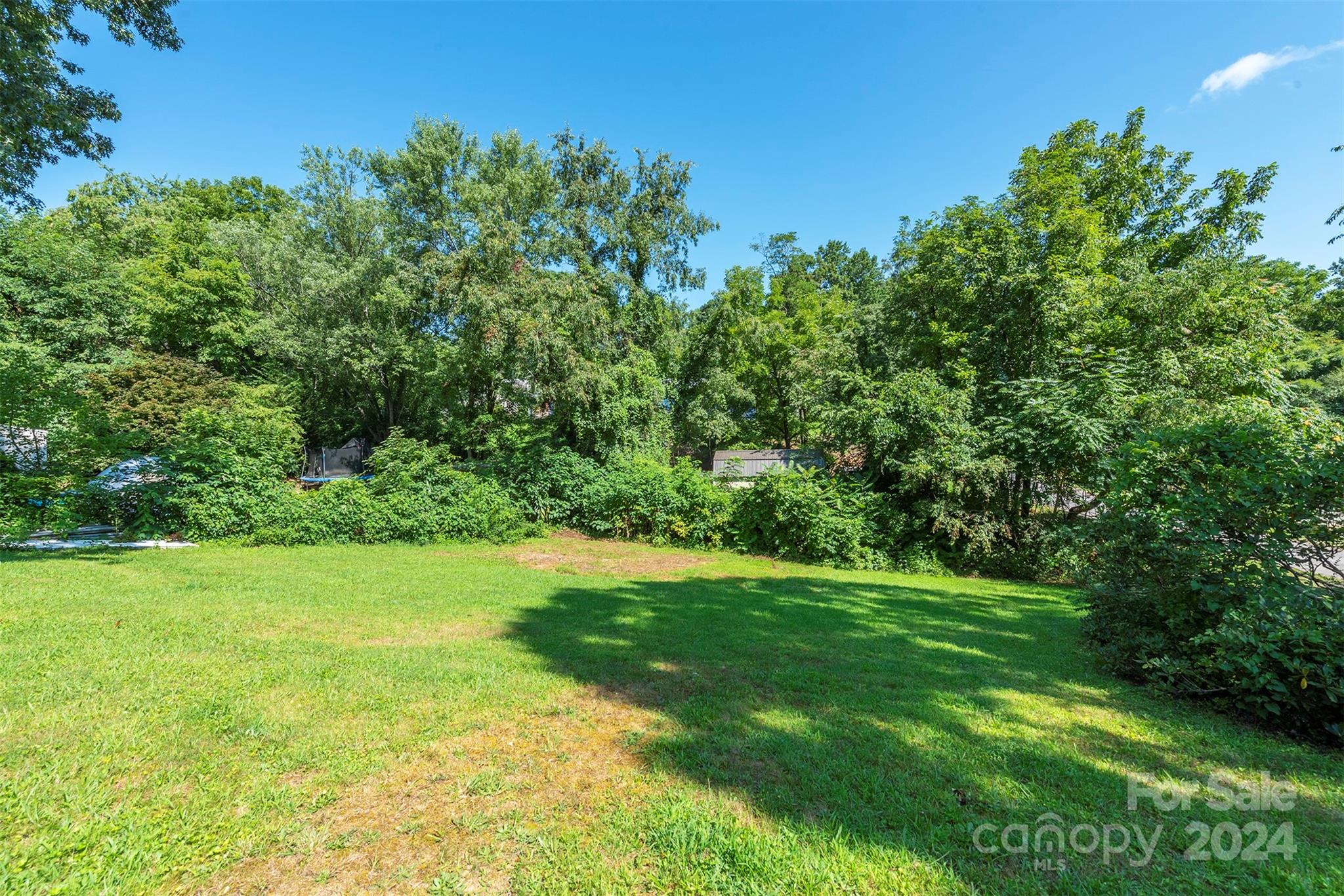 25 Cherokee Road Asheville, NC 28806 - Photo 5 of 42 Gallery Image 5