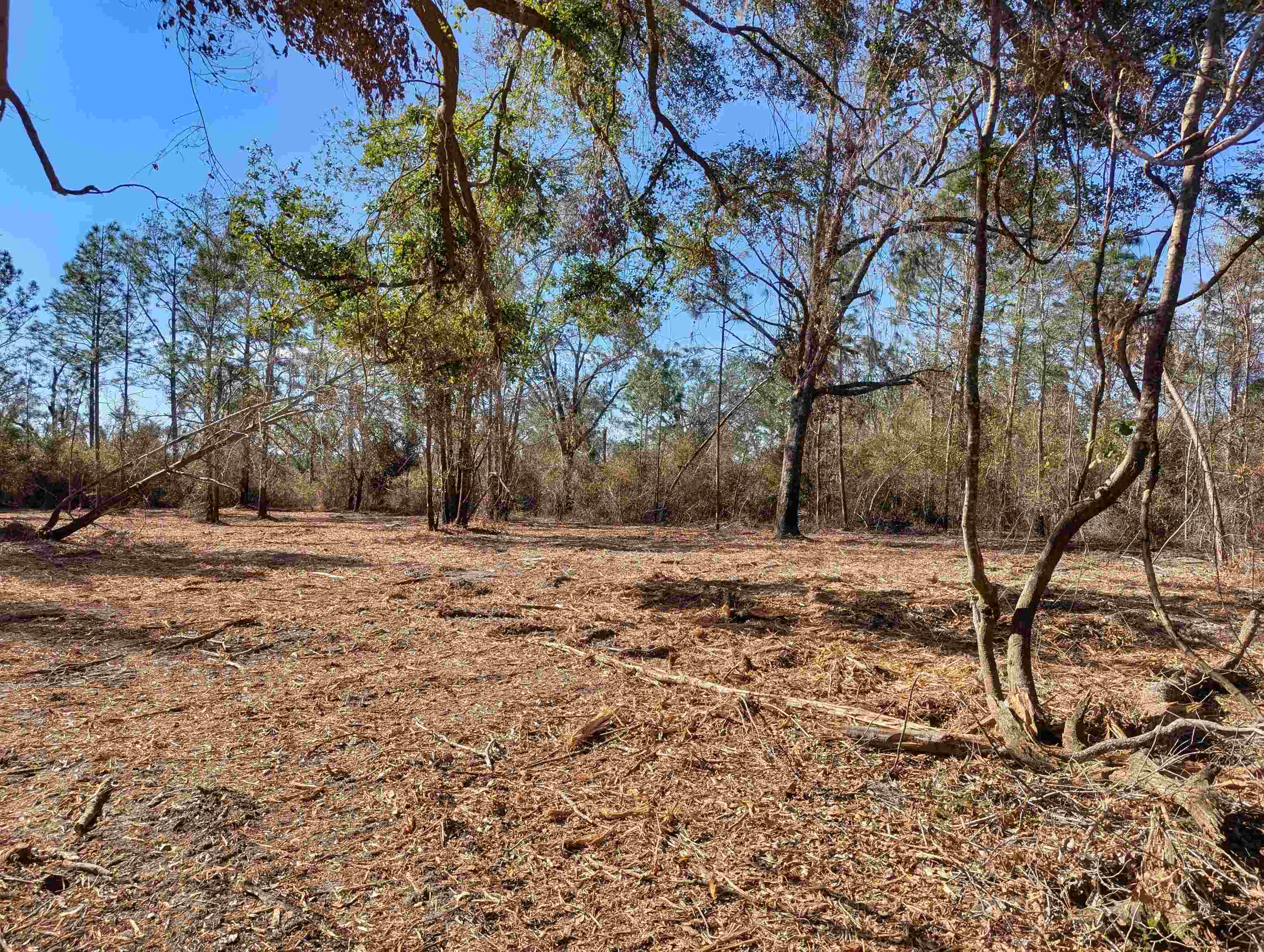 Southeast Farm Road Lee, FL 32059 - Photo 1 of 7 Gallery Image 1