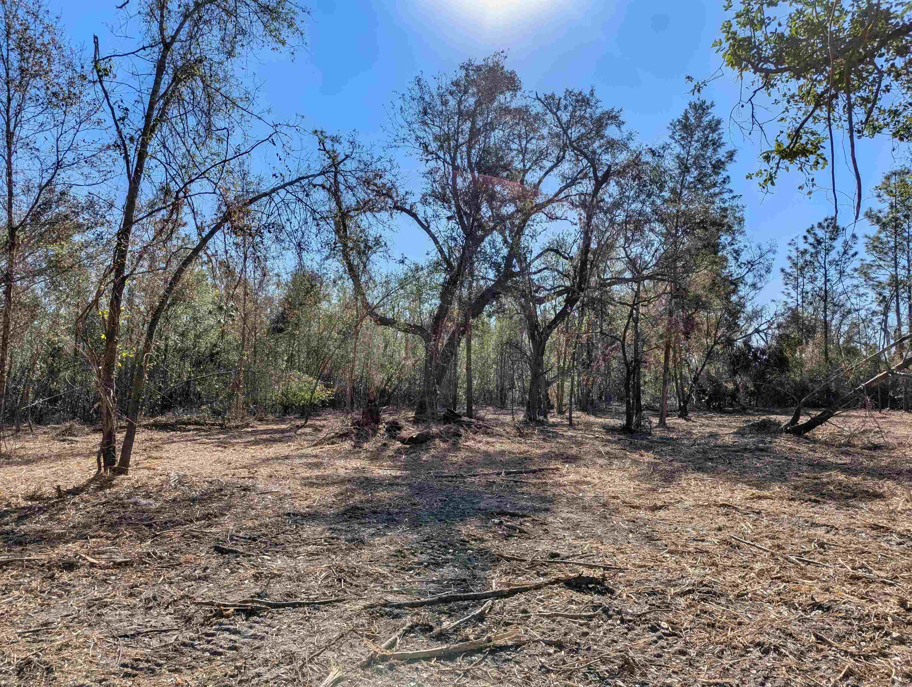 Southeast Farm Road Lee, FL 32059 - Photo 2 of 7 Gallery Image 2