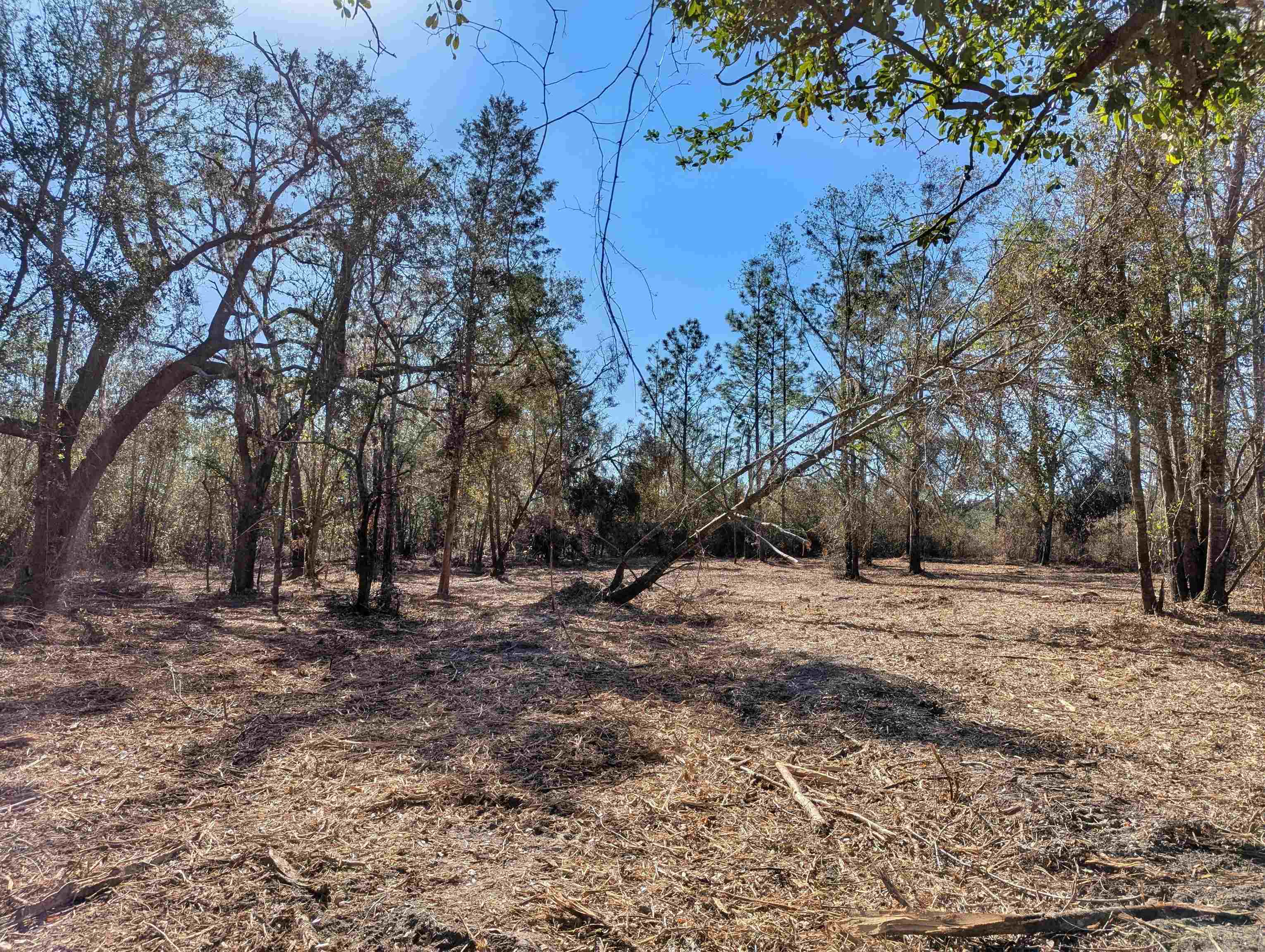 Southeast Farm Road Lee, FL 32059 - Photo 3 of 7 Gallery Image 3
