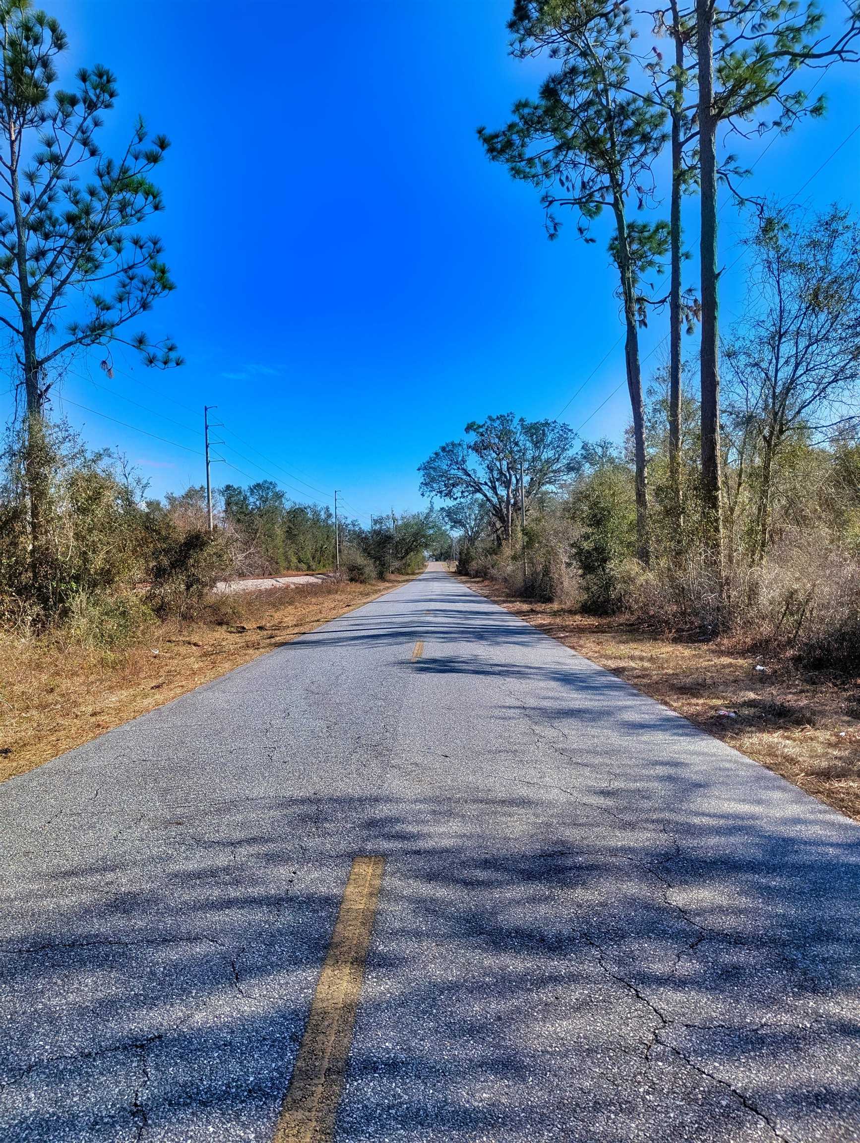 Southeast Farm Road Lee, FL 32059 - Photo 4 of 7 Gallery Image 4