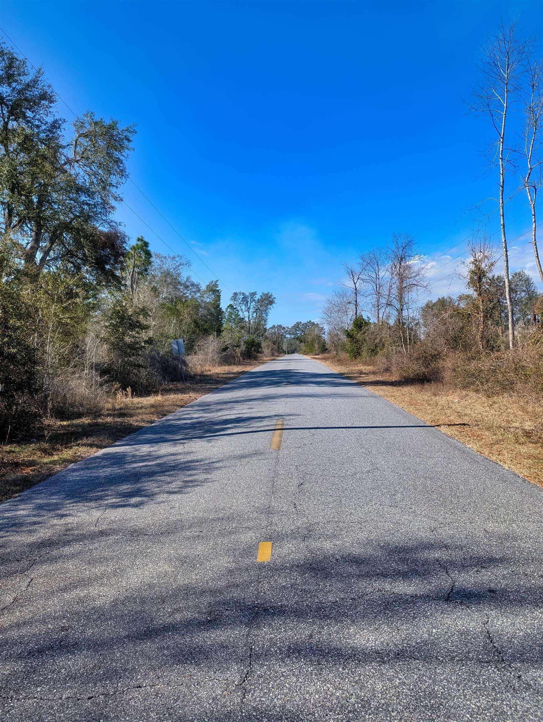 Southeast Farm Road Lee, FL 32059 - Photo 5 of 7 Gallery Image 5