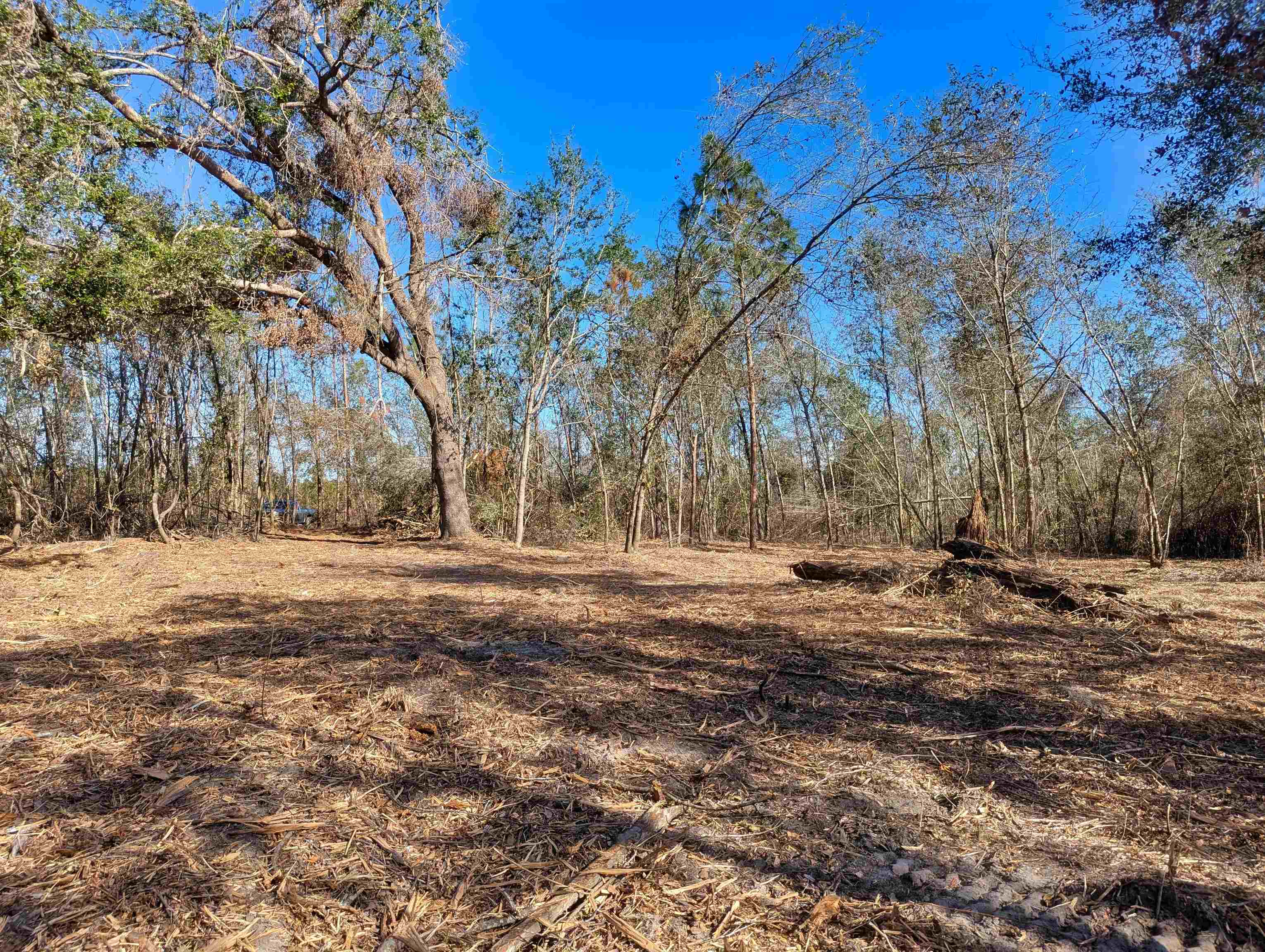 Southeast Farm Road Lee, FL 32059 - Photo 6 of 7 Gallery Image 6