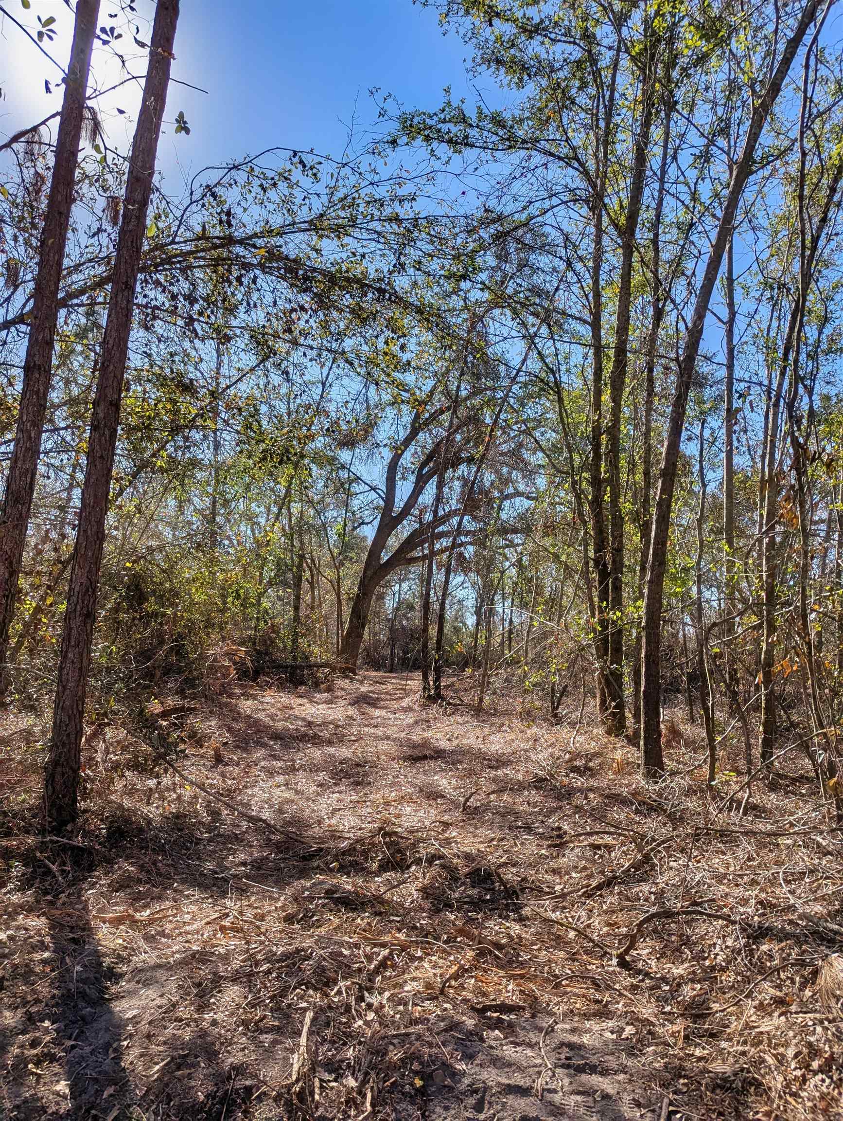 Southeast Farm Road Lee, FL 32059 - Photo 7 of 7 Gallery Image 7