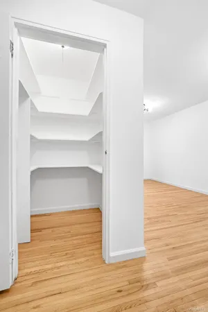 a view of an empty walk in closet