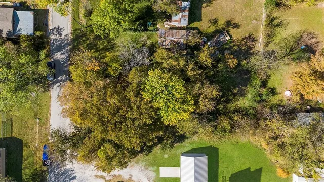 a view of a garden with plants and large trees