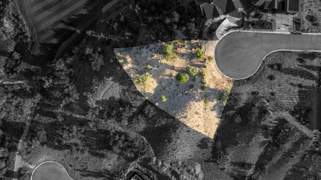 a view of a dry yard