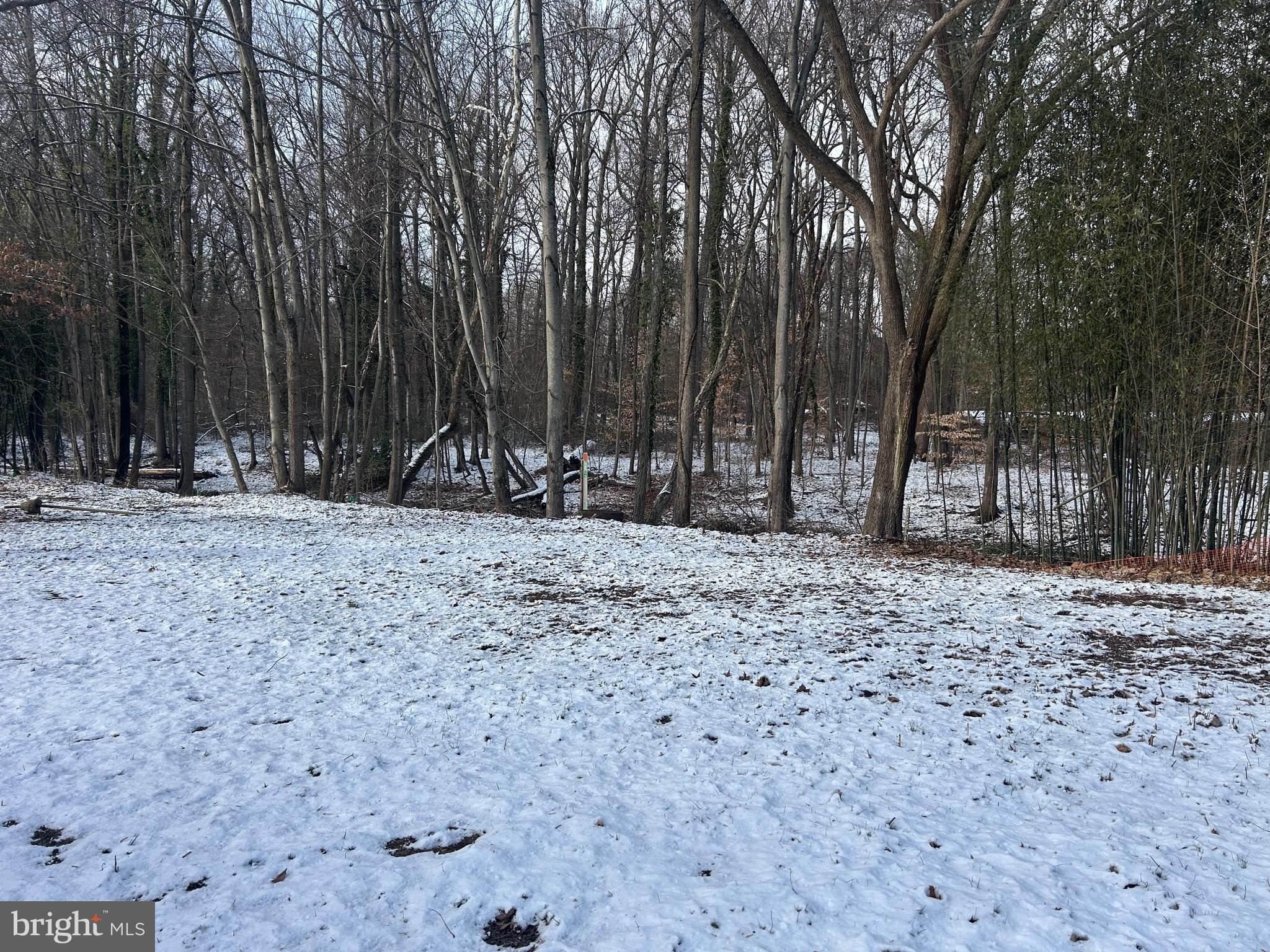 6600 Woodland Road Morningside, MD 20746 - Photo 18 of 100 a backyard of a house with large trees