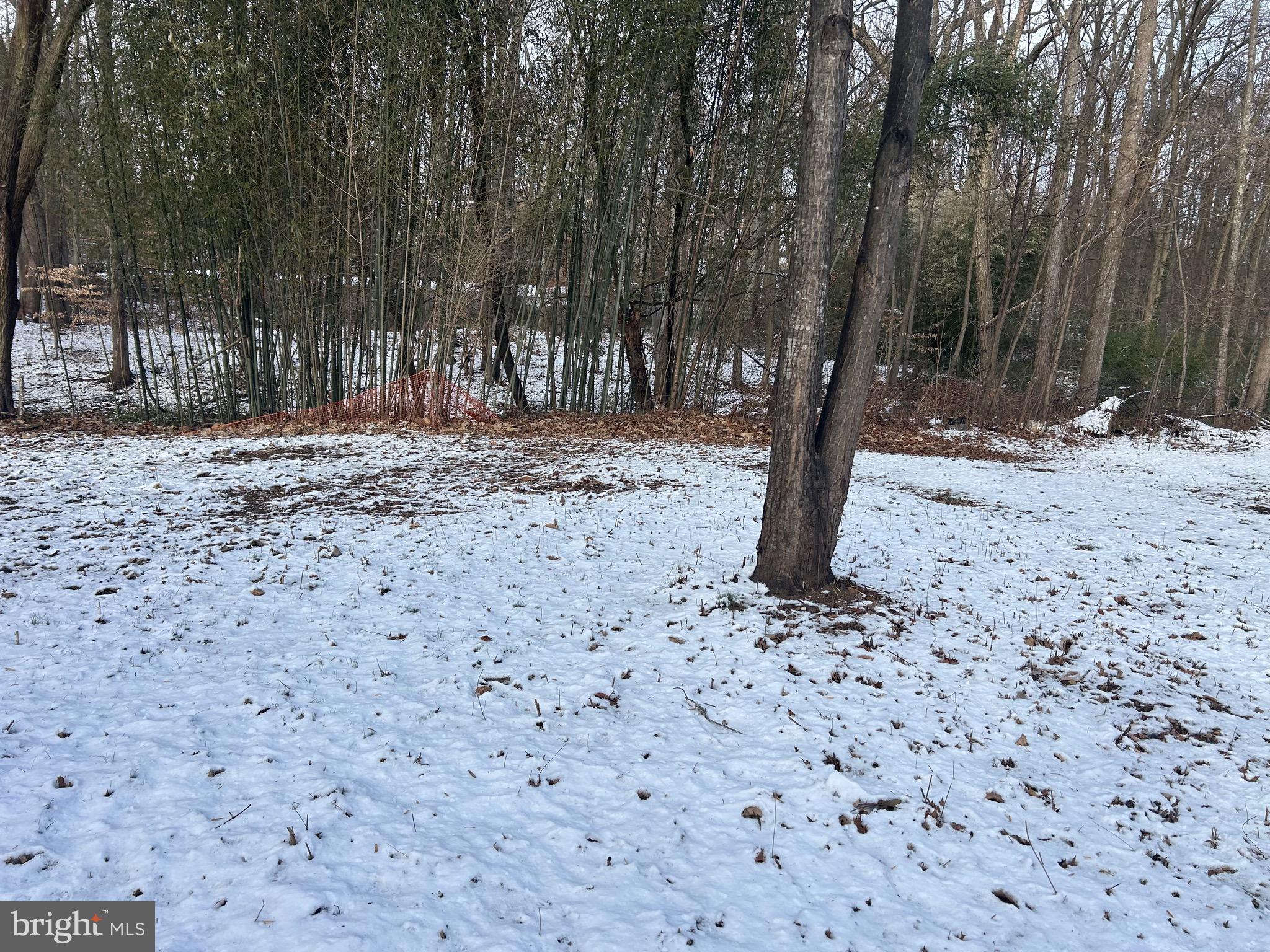 6600 Woodland Road Morningside, MD 20746 - Photo 21 of 100 a view of a backyard with large trees