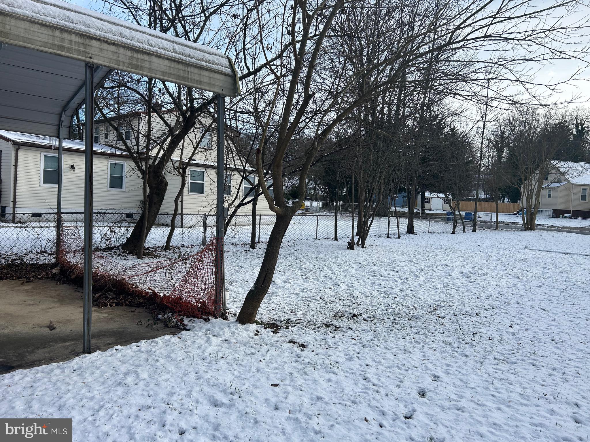 6600 Woodland Road Morningside, MD 20746 - Photo 23 of 100 a view of a yard with a tree