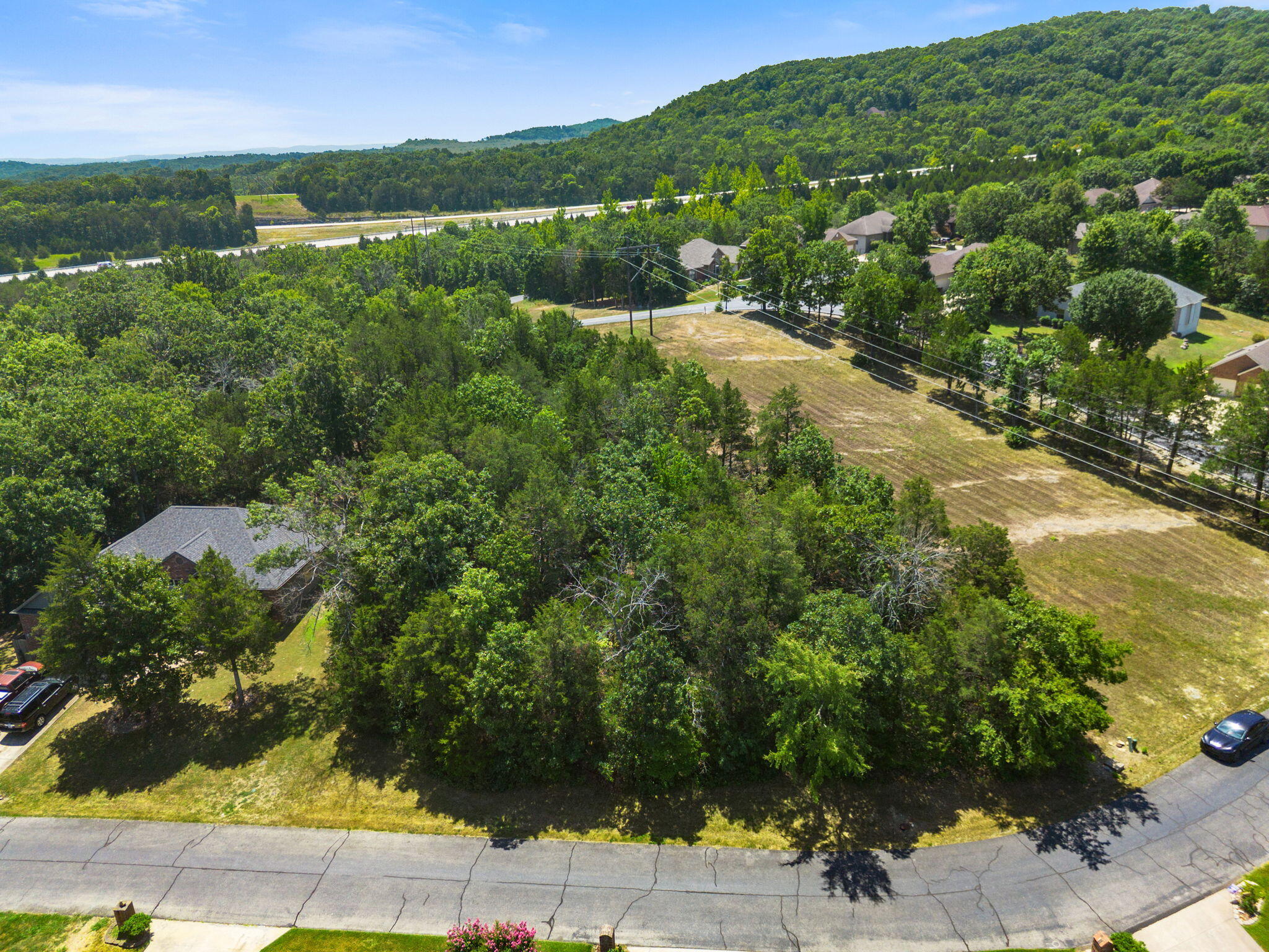 Lot 30 Crossing Drive Reeds Spring, MO 65737 - Photo 10 of 56 Lot-30-Crossing-Dr-Resort-Build-Site