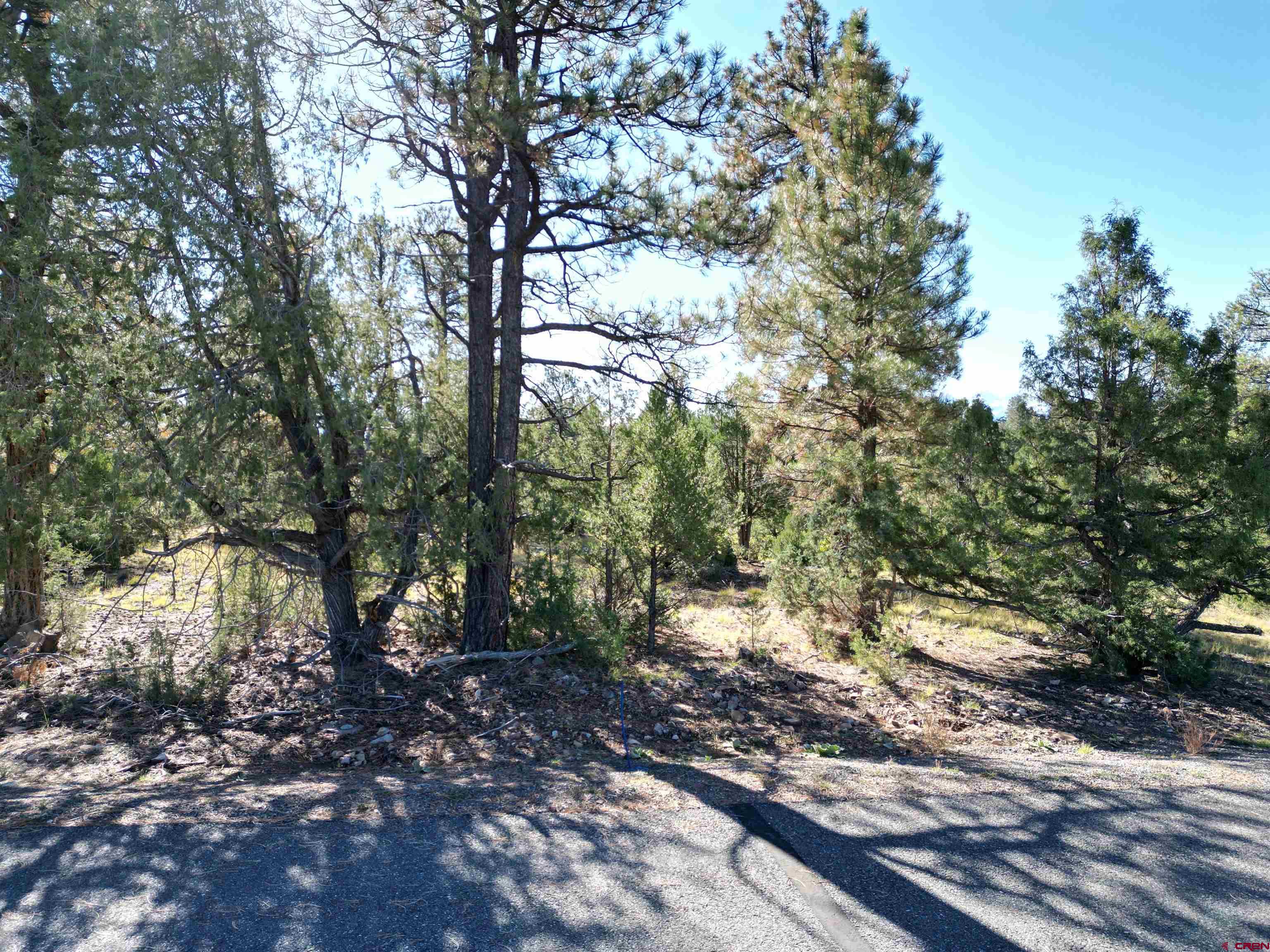 130 Hummingbird Trail Ridgway, CO 81432 - Photo 1 of 19 Gallery Image 1