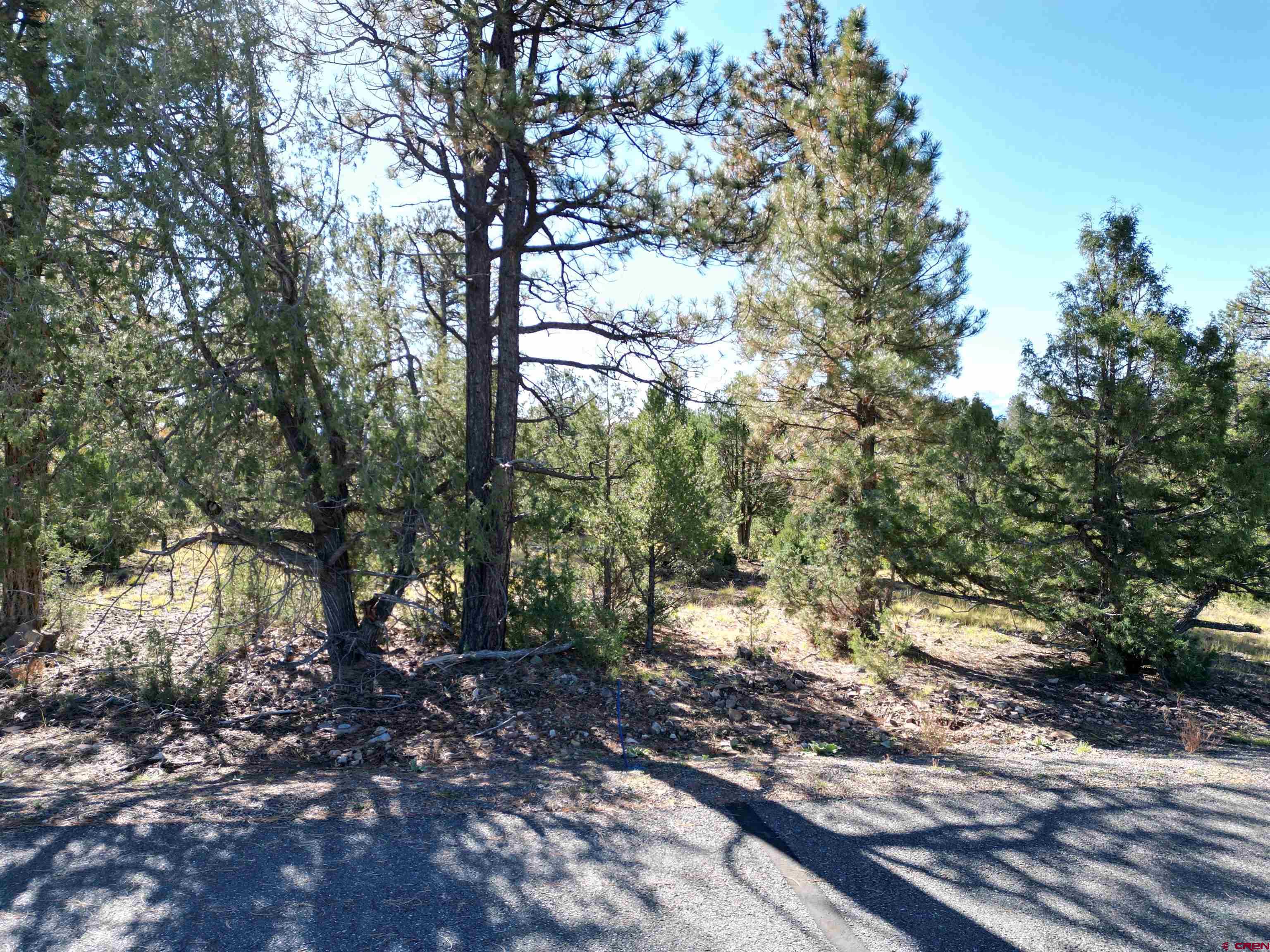130 Hummingbird Trail Ridgway, CO 81432 - Photo 2 of 19 Gallery Image 2