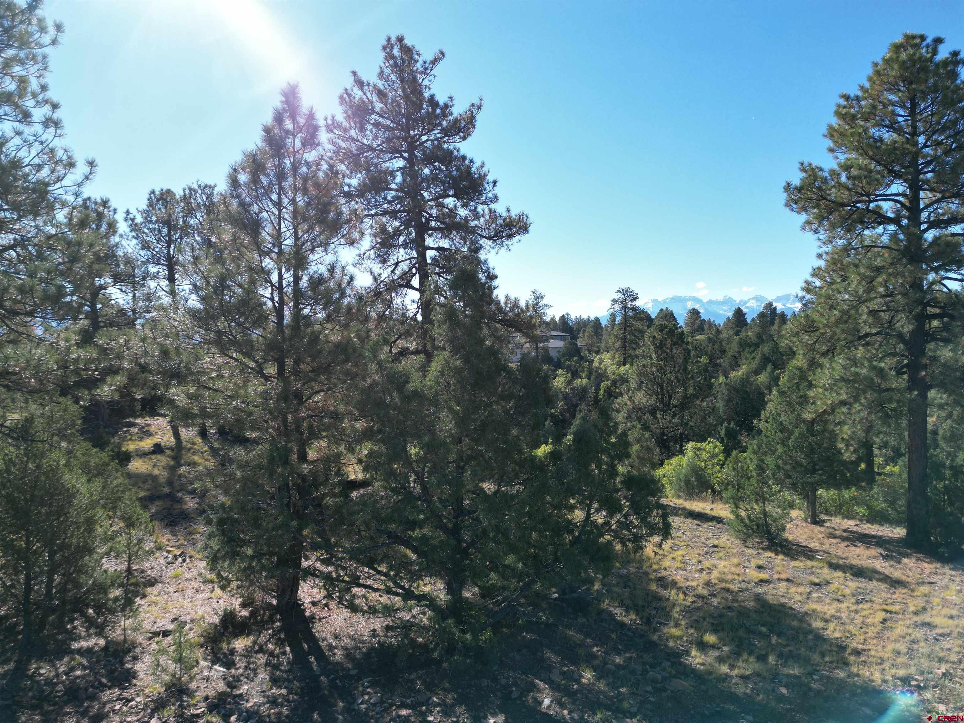 130 Hummingbird Trail Ridgway, CO 81432 - Photo 3 of 19 Gallery Image 3