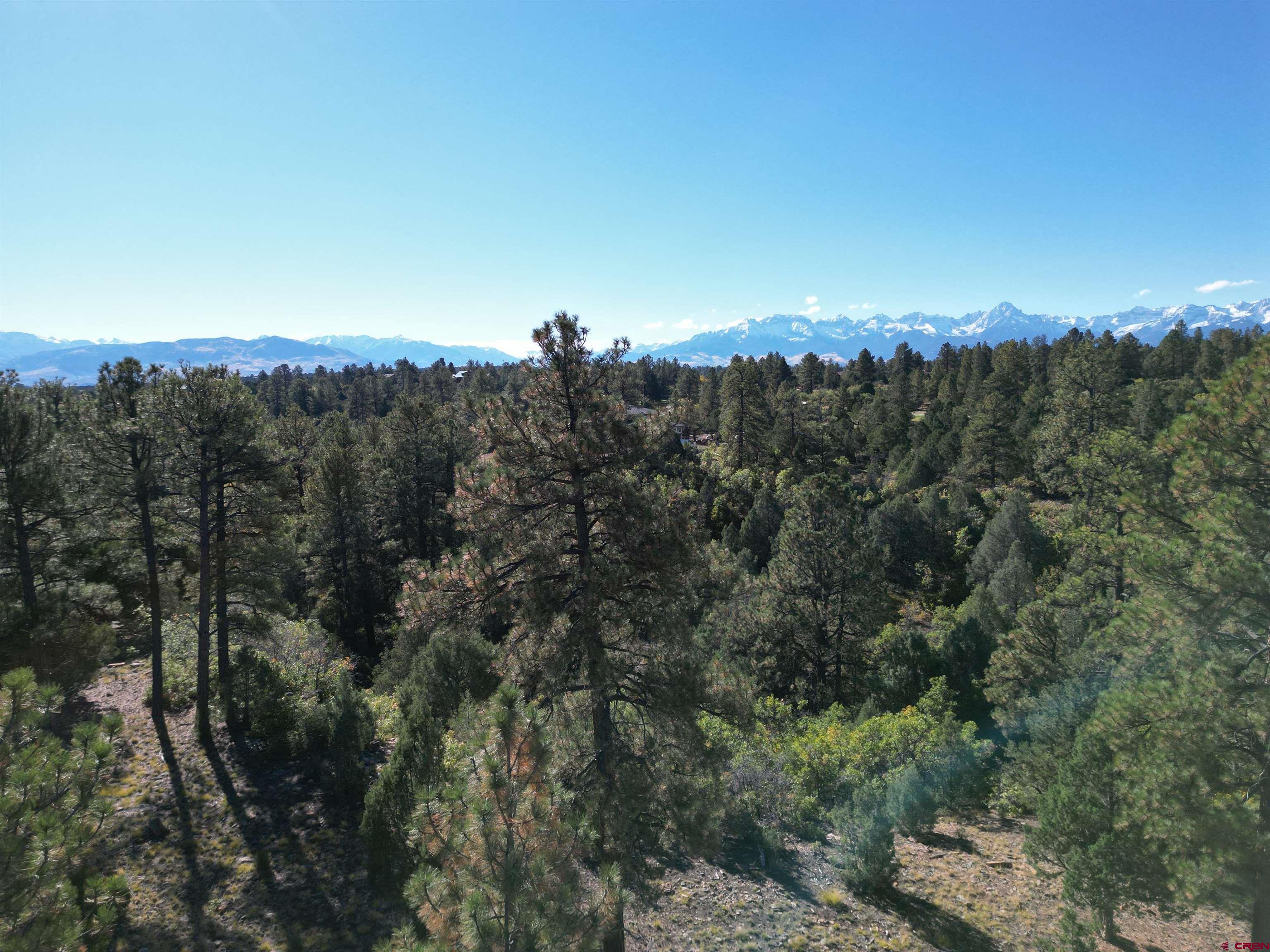 130 Hummingbird Trail Ridgway, CO 81432 - Photo 4 of 19 Gallery Image 4