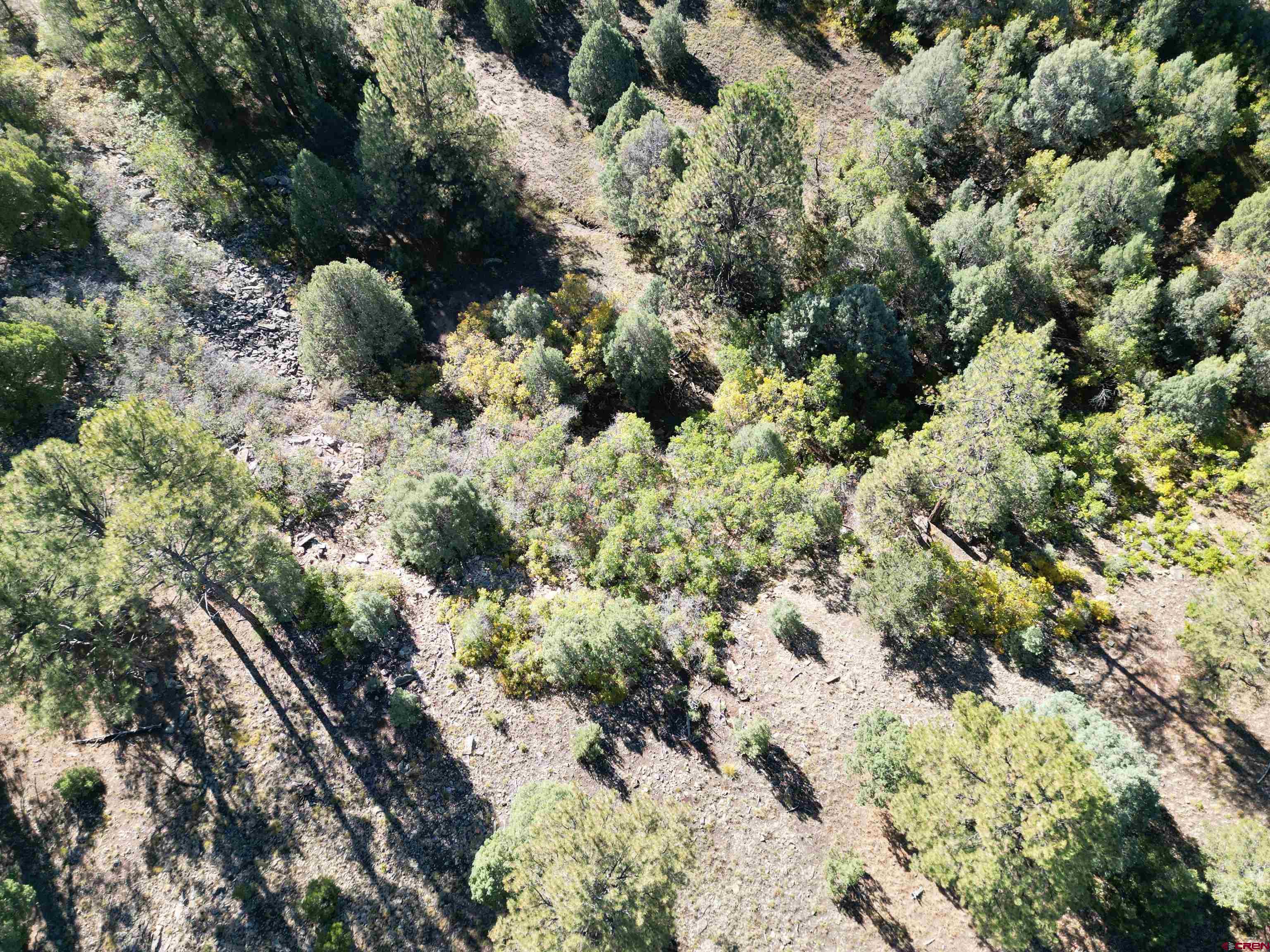 130 Hummingbird Trail Ridgway, CO 81432 - Photo 9 of 19 Gallery Image 9