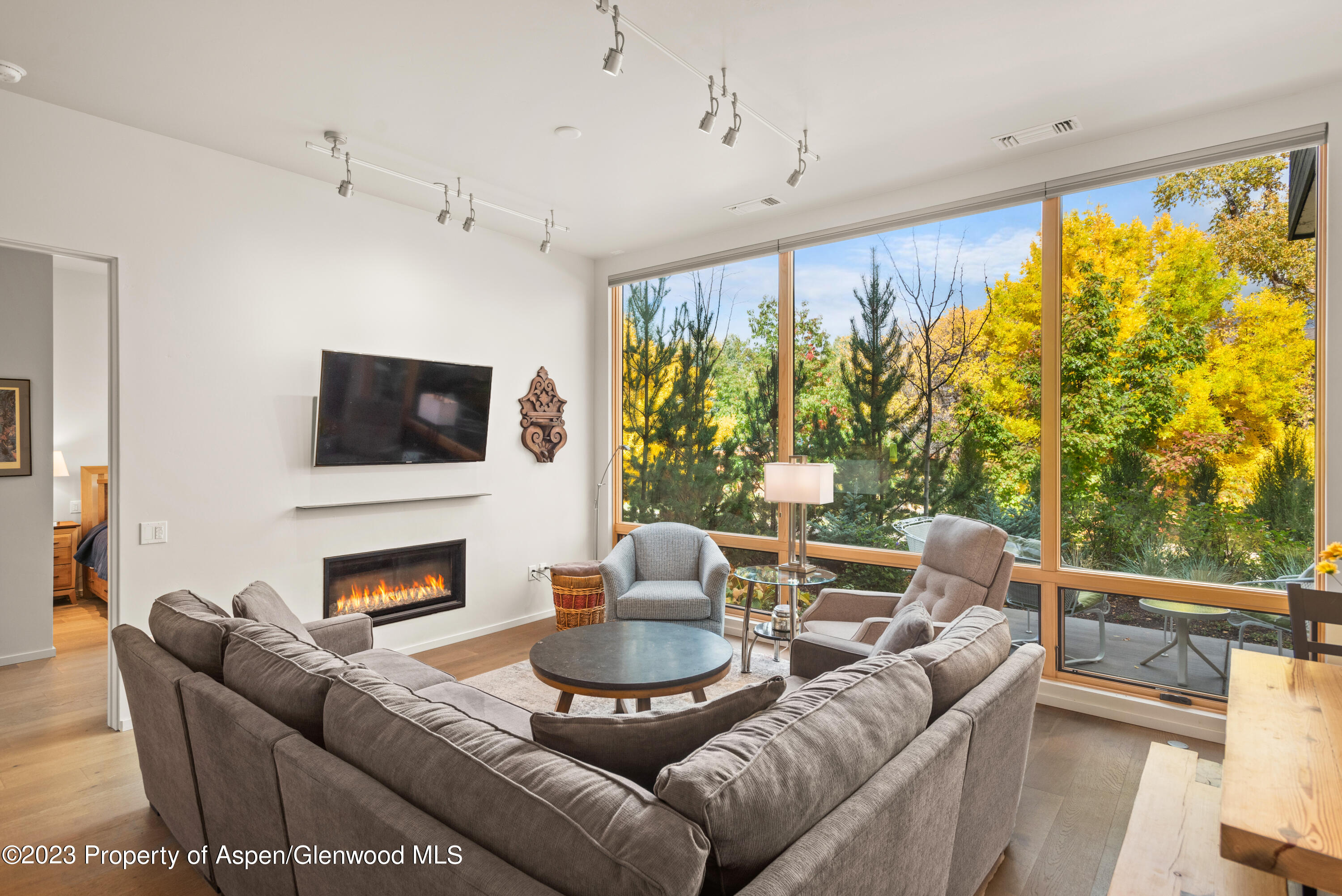 100 Evans Road, Unit 102 Basalt, CO 81621 - Photo 2 of 14 Welcome home Livingroom