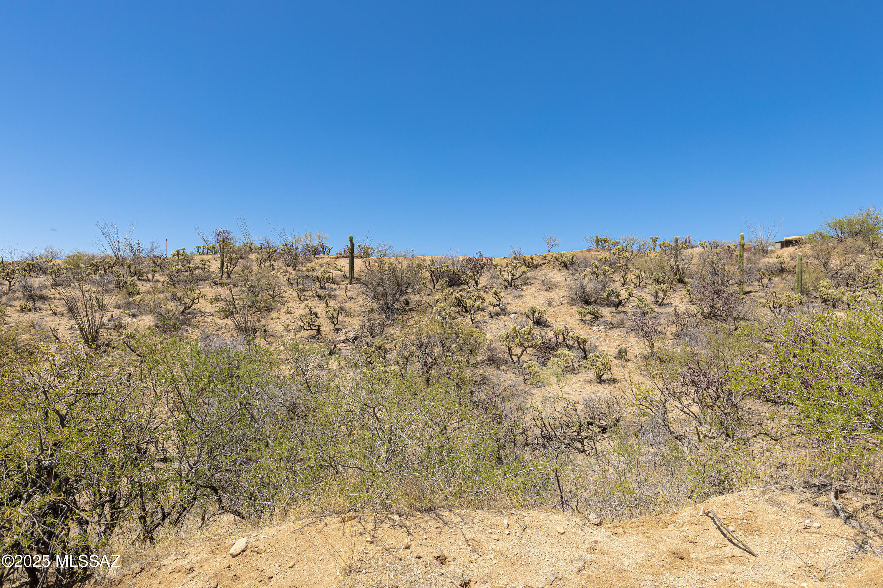 0 South Dodge Canyon Road, Unit 1 Tucson, AZ 85739 - Photo 11 of 20
