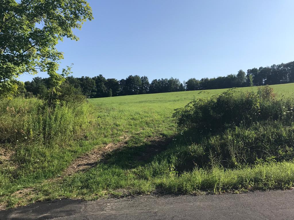 0 Monkey Run Road Elmira, NY 14901 - Photo 1 of 1 Gallery Image 1