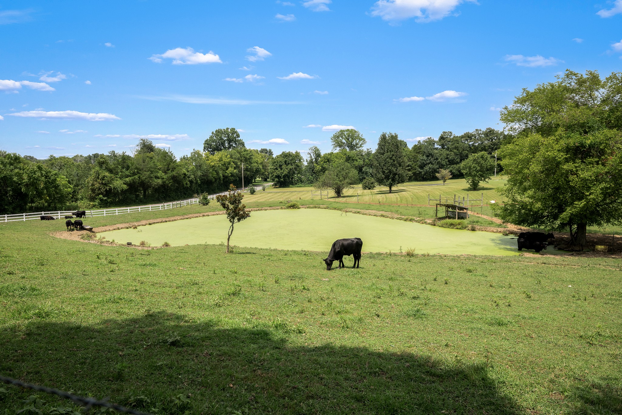 206 Hickerson Road Wartrace, TN 37183 - Photo 73 of 100 Gallery Image 73