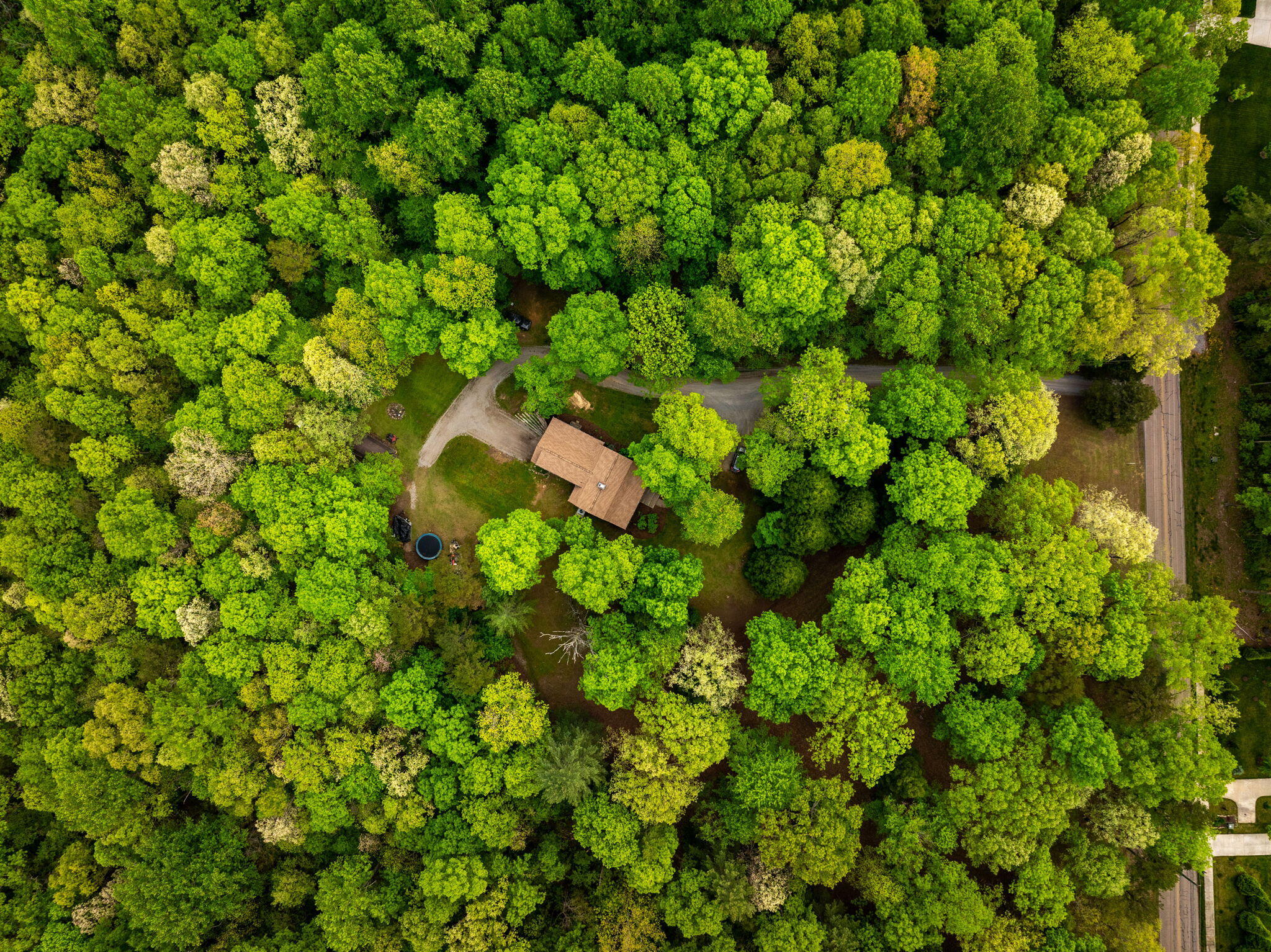 4535 Shackleford Ridge Road Signal Mountain, TN 37377 - Photo 4 of 48 11-web-or-mls-DJI_20250429101530_0937_D-