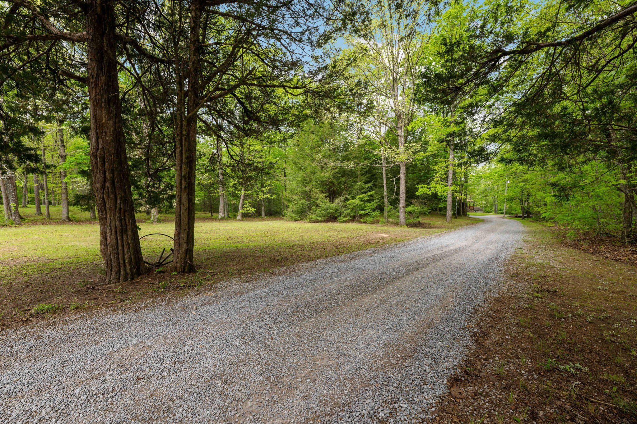 4535 Shackleford Ridge Road Signal Mountain, TN 37377 - Photo 48 of 48 64-web-or-mls-DSC_4837-52