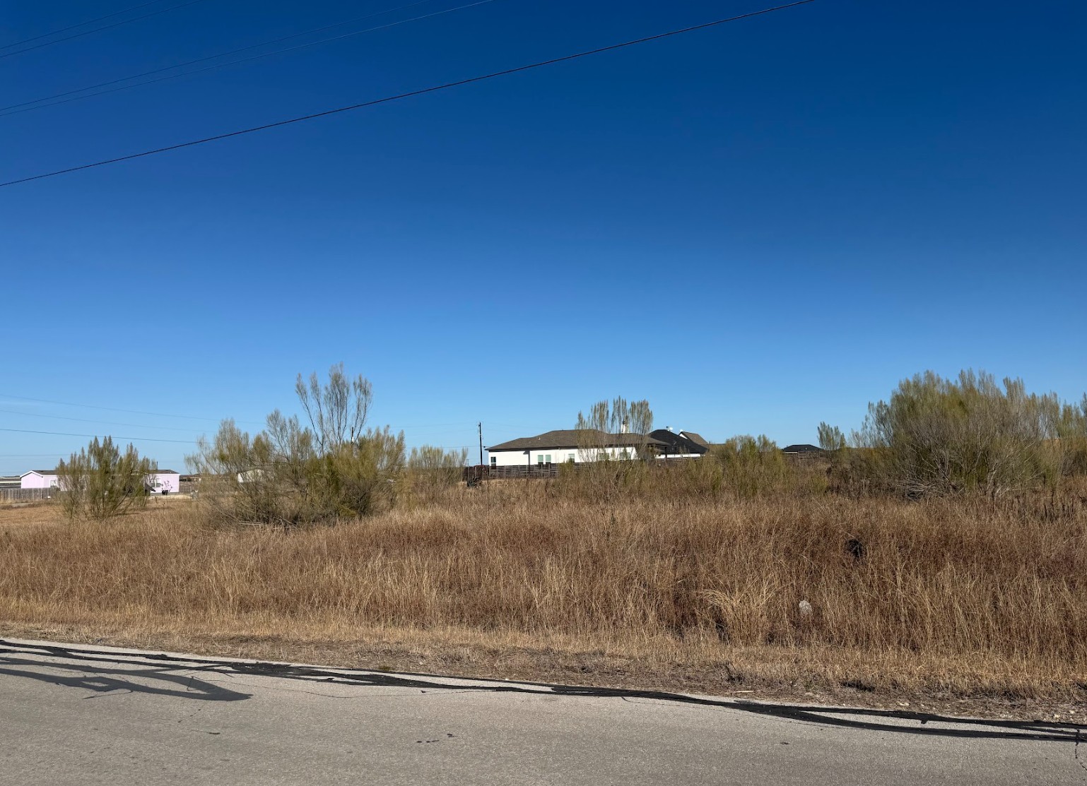 109 Desperado Loop Del Valle, TX 78617 - Photo 7 of 9 a view of a dry yard with trees