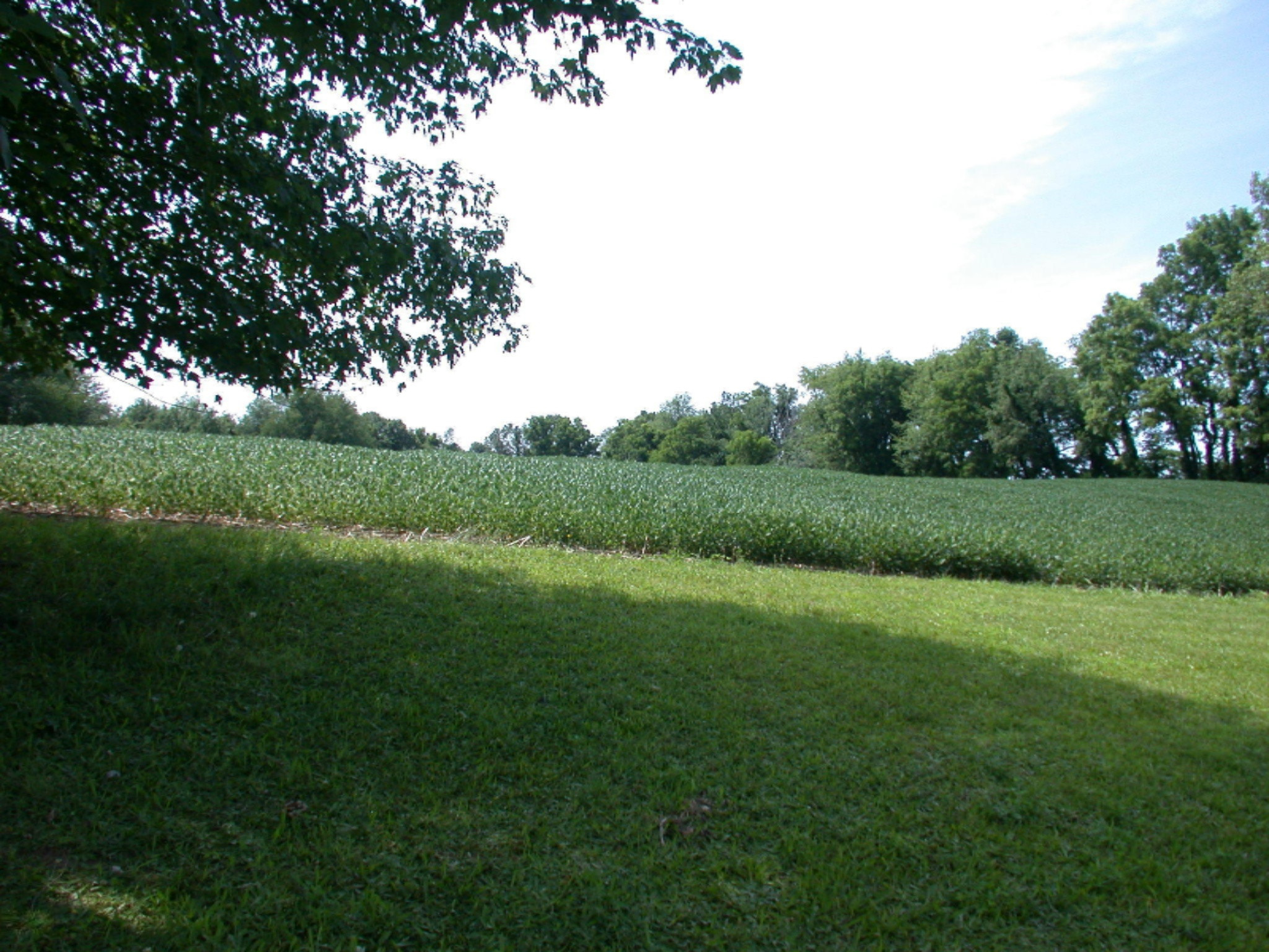 13430 Madron Lake Road Buchanan, MI 49107 - Photo 17 of 28 DSCN6610