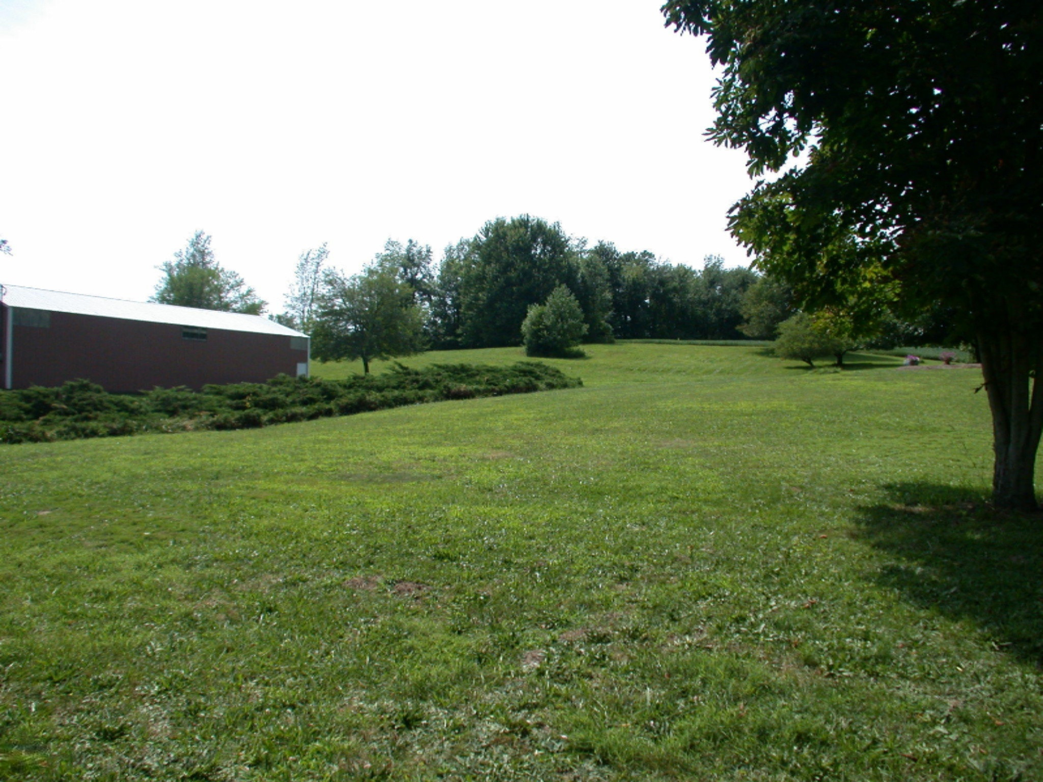 13430 Madron Lake Road Buchanan, MI 49107 - Photo 26 of 28 DSCN6619