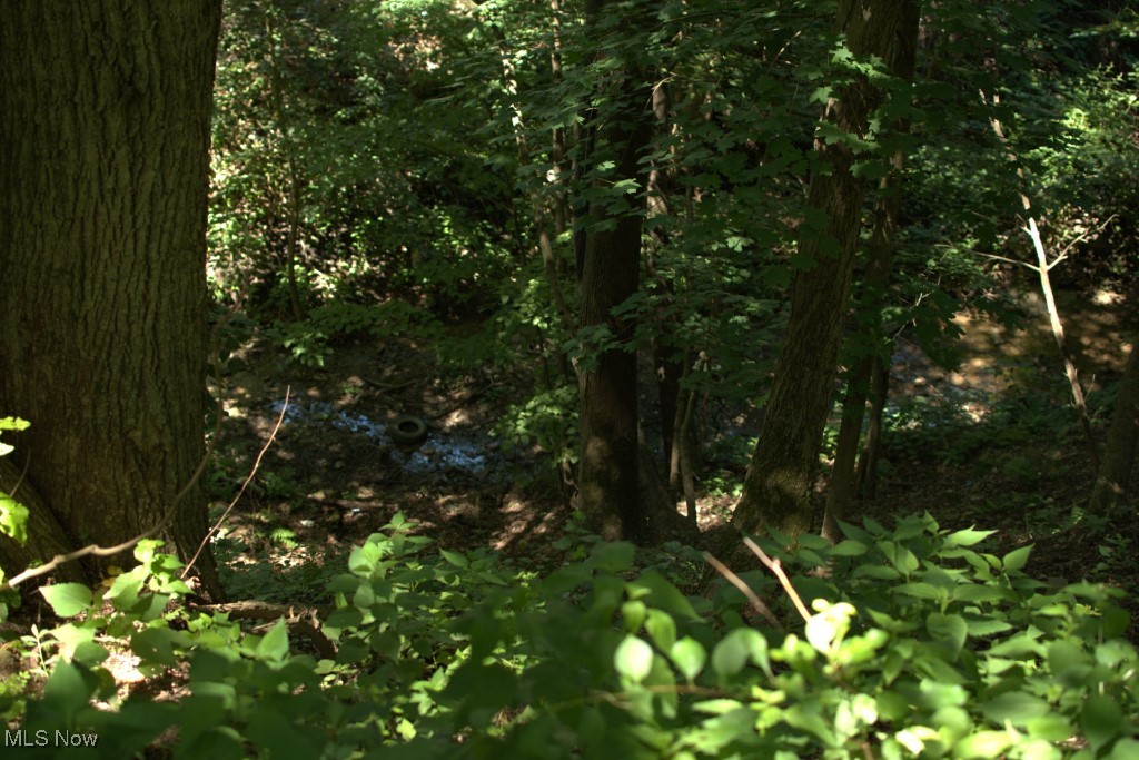 Rabbit Hill Road Wellsburg, WV 26070 - Photo 7 of 25 Gallery Image 7