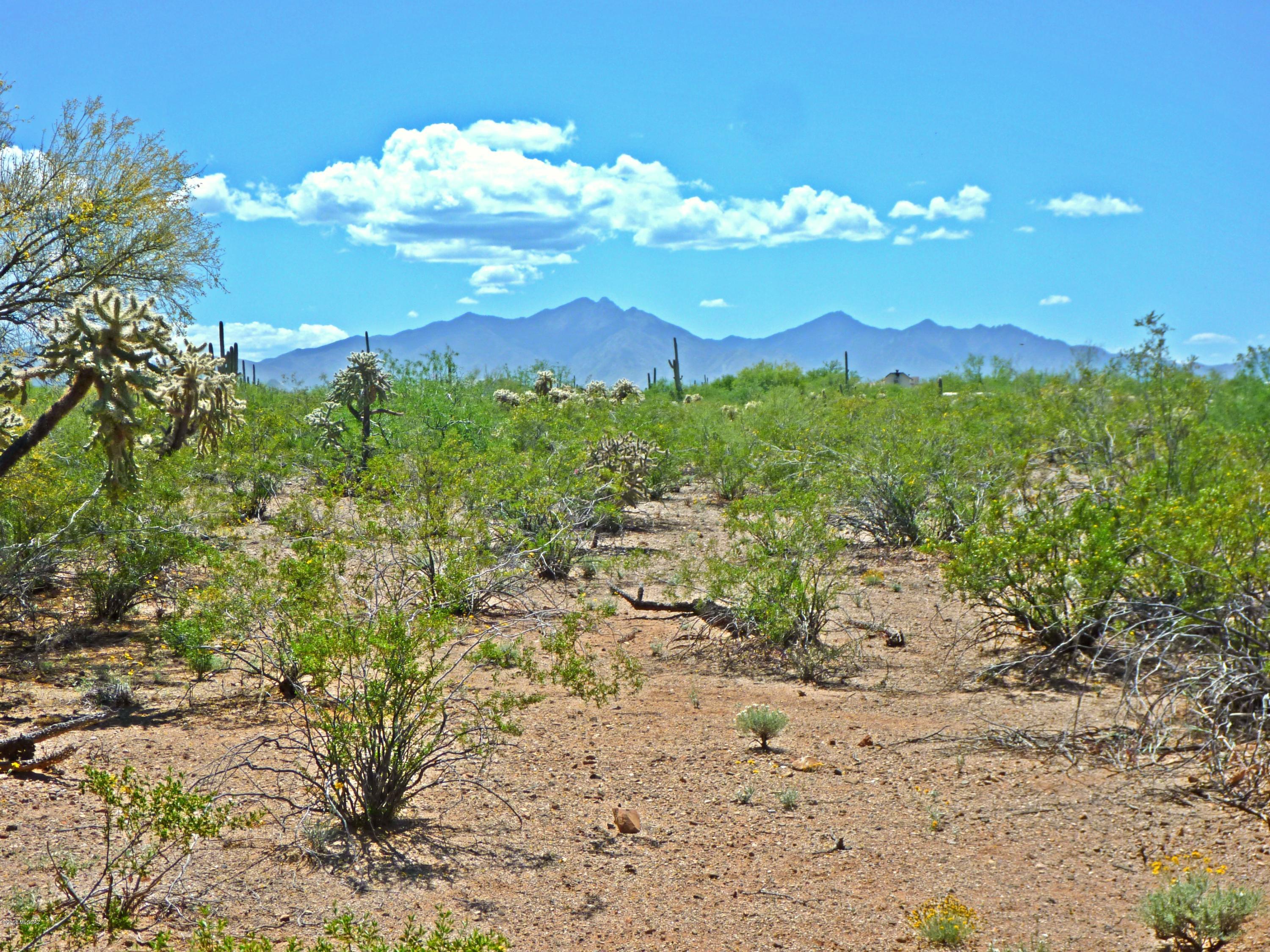 East Phantom Ranch Road Sahuarita, AZ 85629 - Photo 1 of 7
