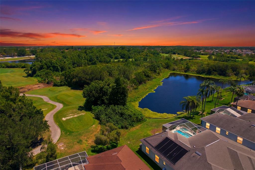 13010 Prestwick Drive Riverview, FL 33579 - Photo 43 of 60