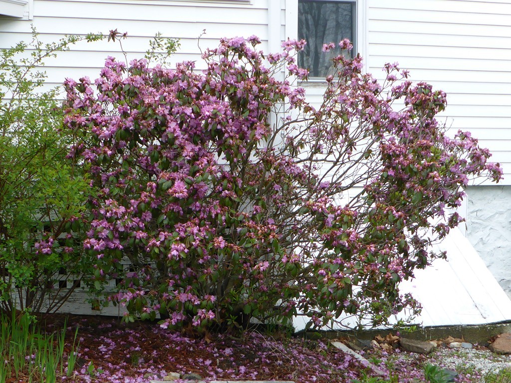 57 Millett Road Swampscott, MA 01907 - Photo 24 of 30 Gallery Image 24