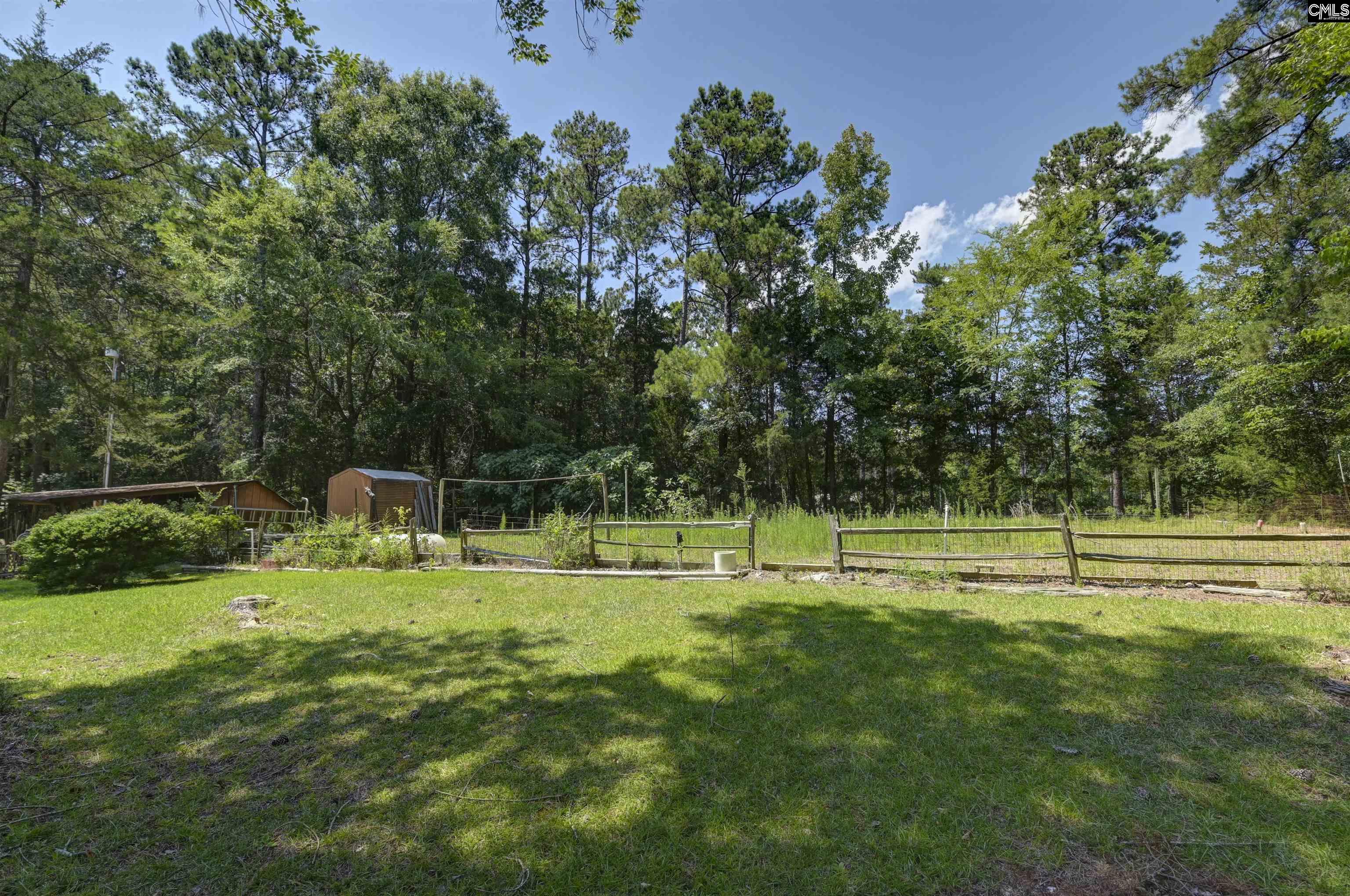 1100 Bookie Richardson Road Chapin, SC 29036 - Photo 29 of 30