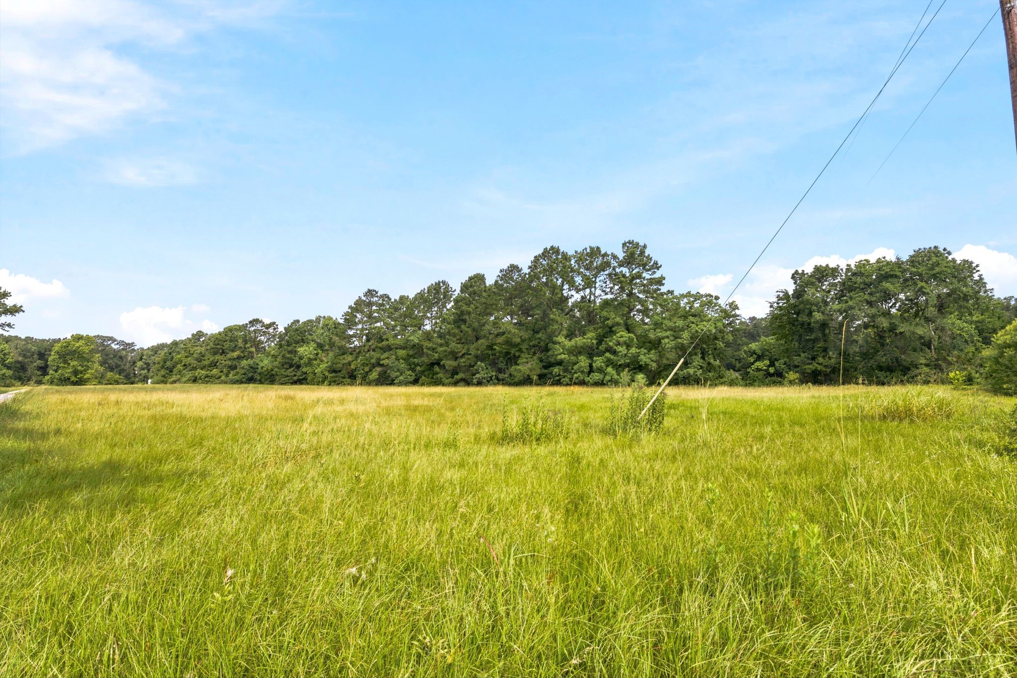Lot 1 Mount Zion Road New Waverly, TX 77358 - Photo 13 of 33