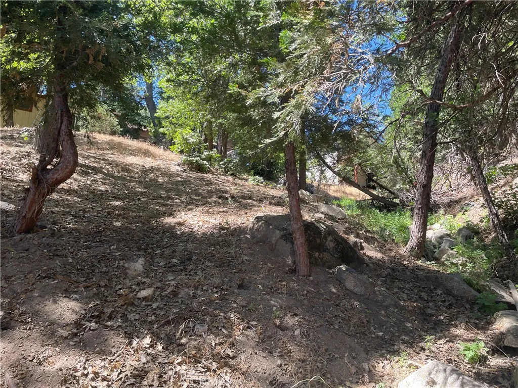 45 Lot 45 Scenic Rimforest, CA 92378 - Photo 1 of 1