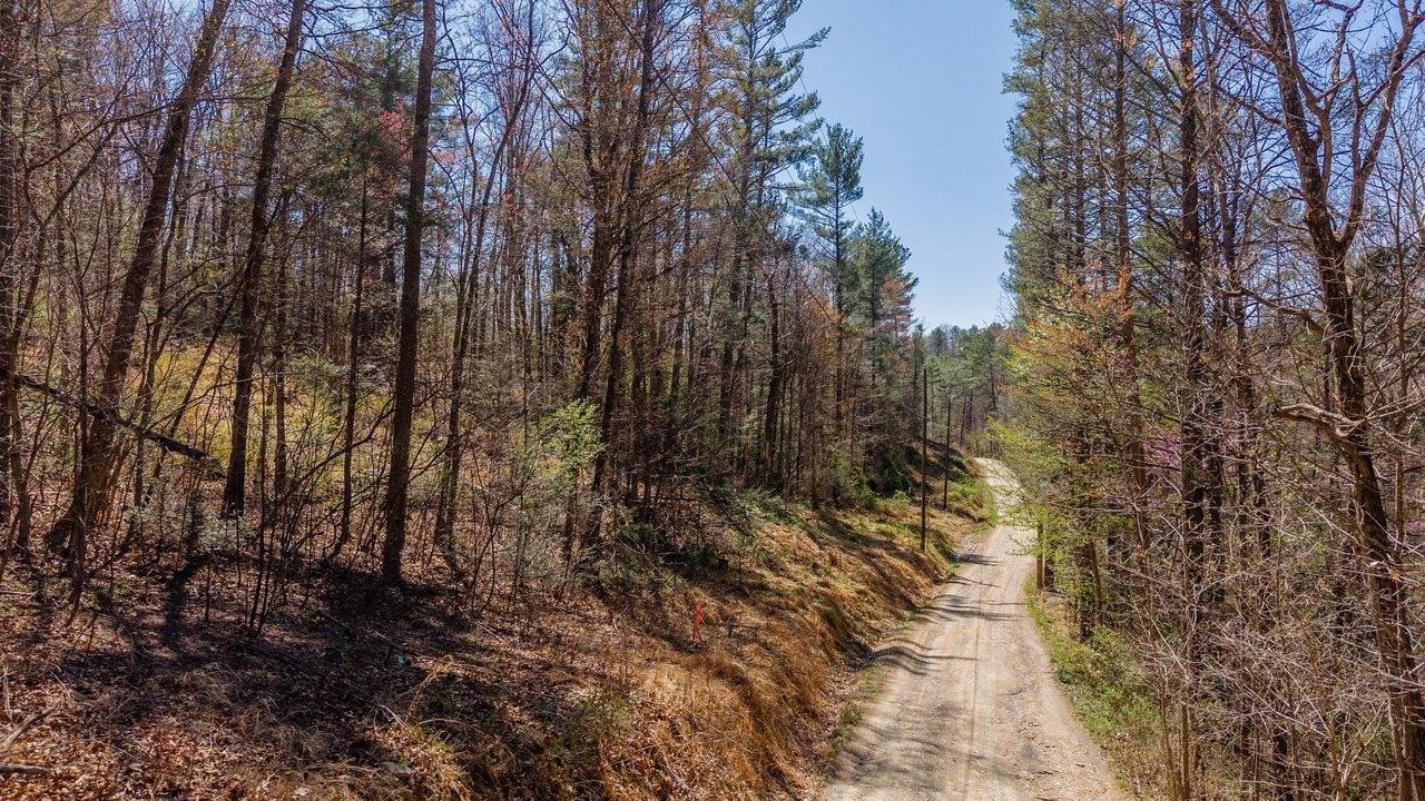 Tbd Shell Hollow Lane Dayton, VA 22821 - Photo 1 of 29