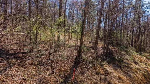 $89,500 | Tbd Shell Hollow Lane, Dayton, VA 22821