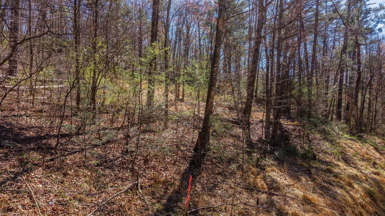 Tbd Shell Hollow Lane Dayton, VA 22821 - Photo 2 of 29