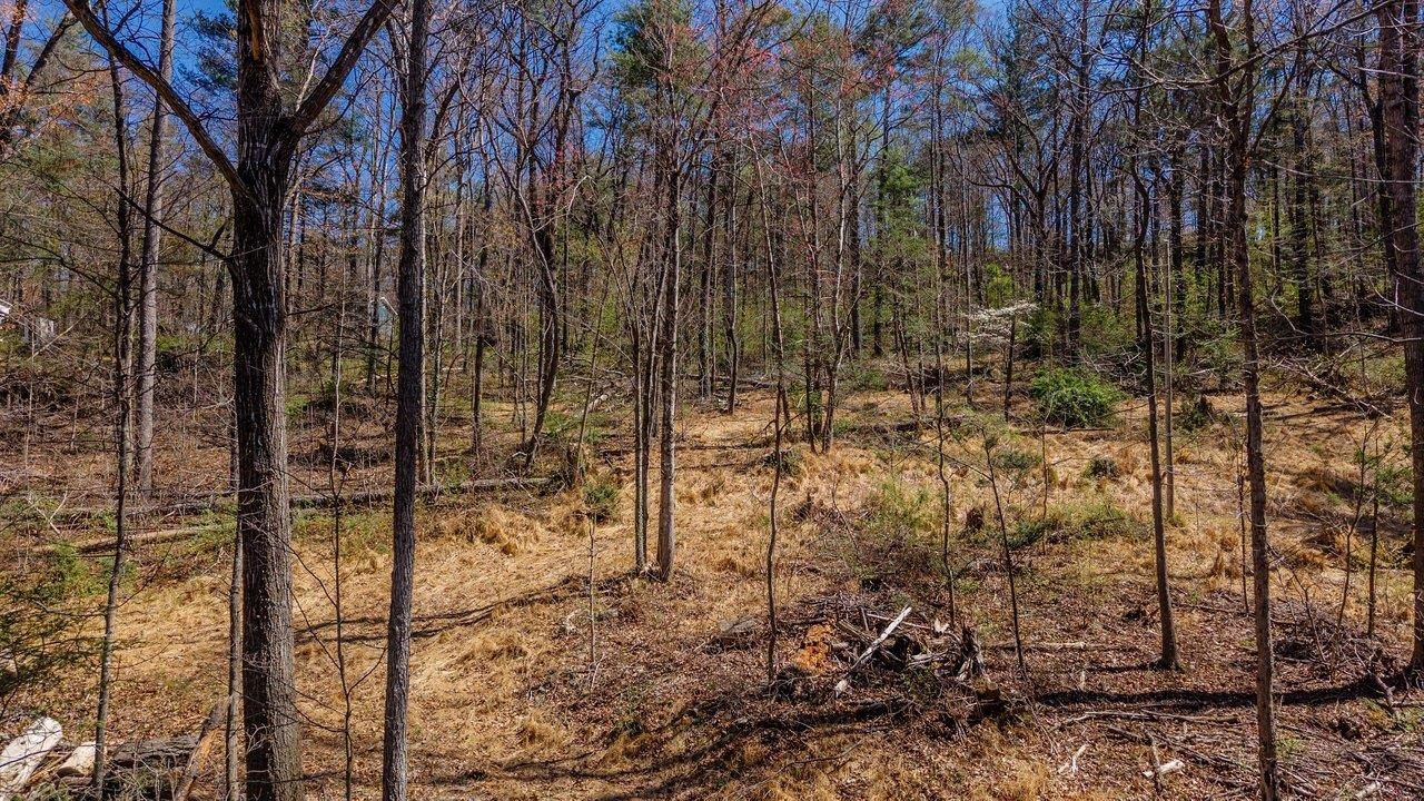 Tbd Shell Hollow Lane Dayton, VA 22821 - Photo 3 of 29