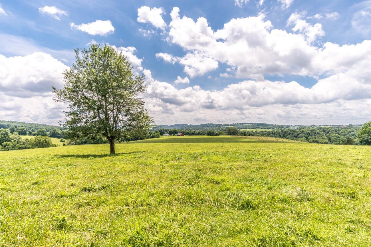 149 Redbird Road Mount Vernon, KY 40456 - Photo 2 of 24 Photo 2