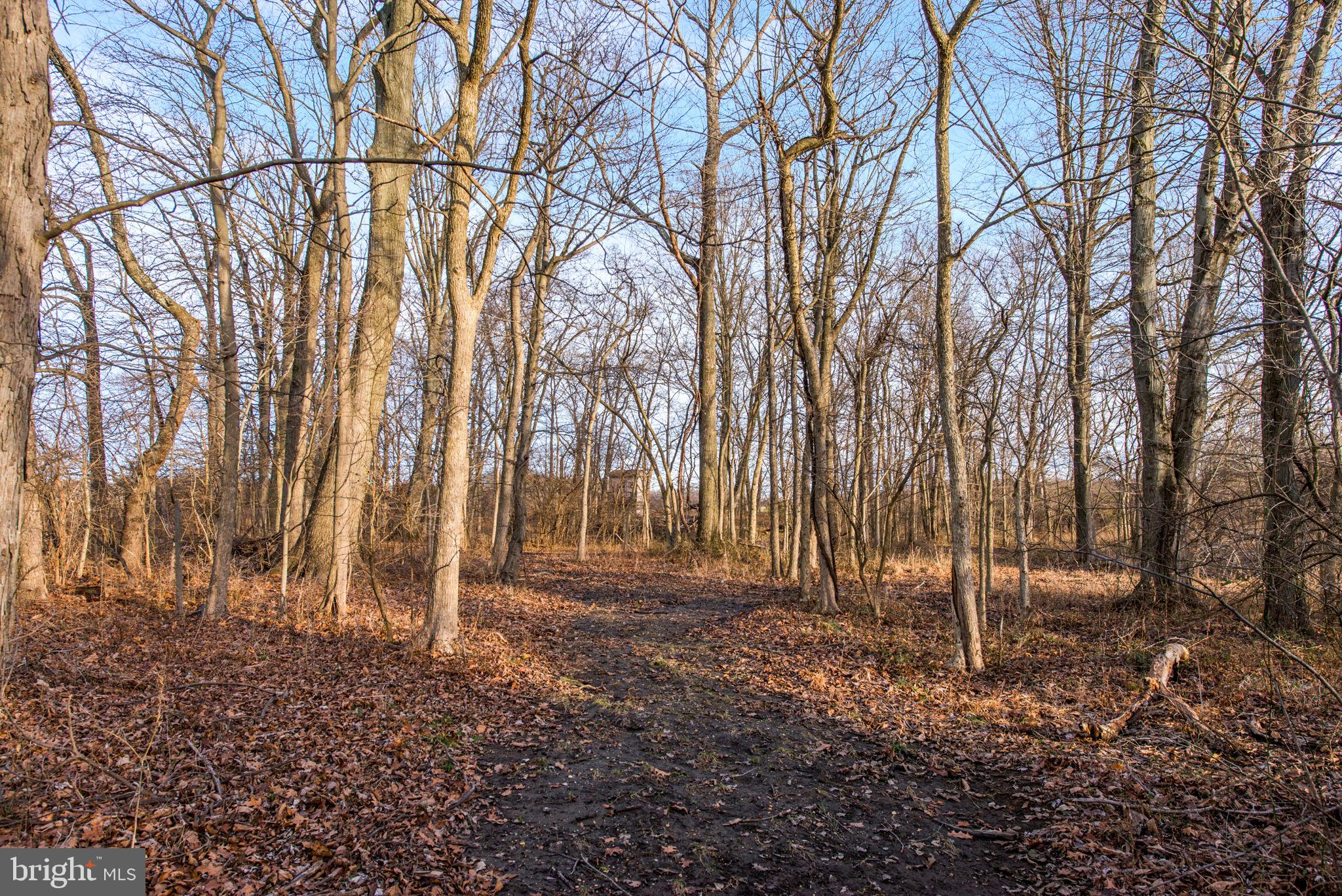 105 Paulson Road Wrightstown, NJ 08562 - Photo 40 of 40