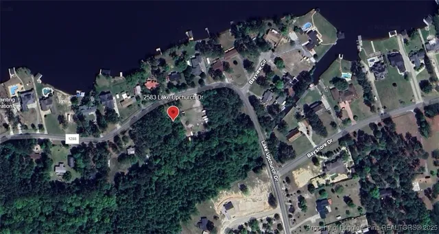 a view of a park with large trees