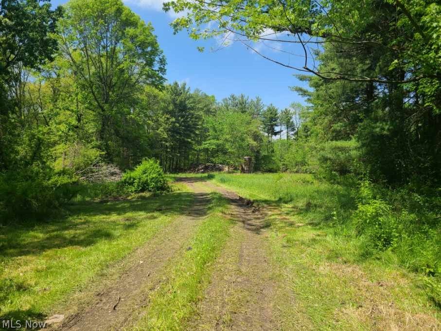 3620 Biltz Road Kent, OH 44240 - Photo 21 of 23