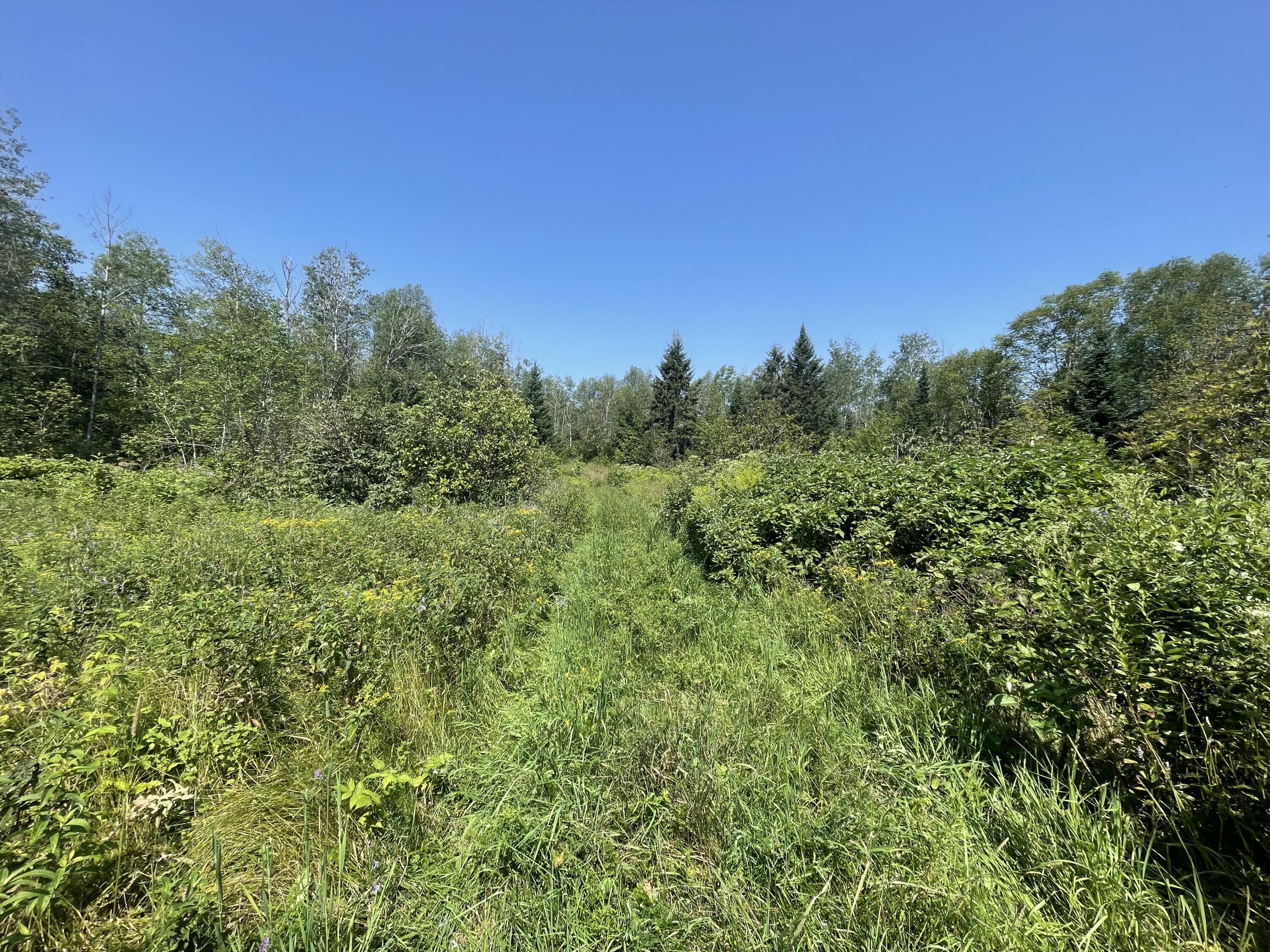 886 Grivois Road Grand Isle, ME 04746 - Photo 17 of 18 IMG_6517